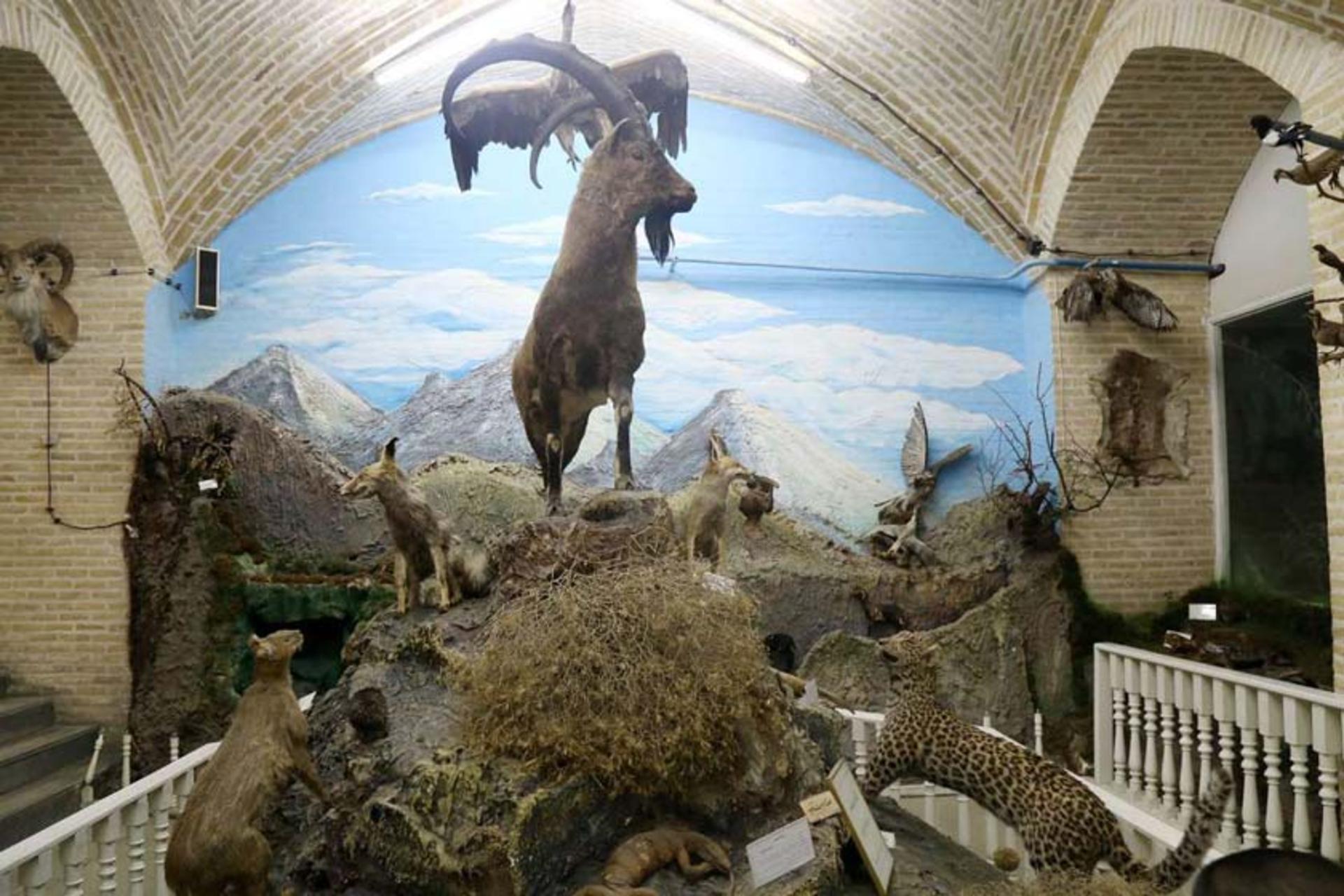 موزه علوم طبیعی یزد