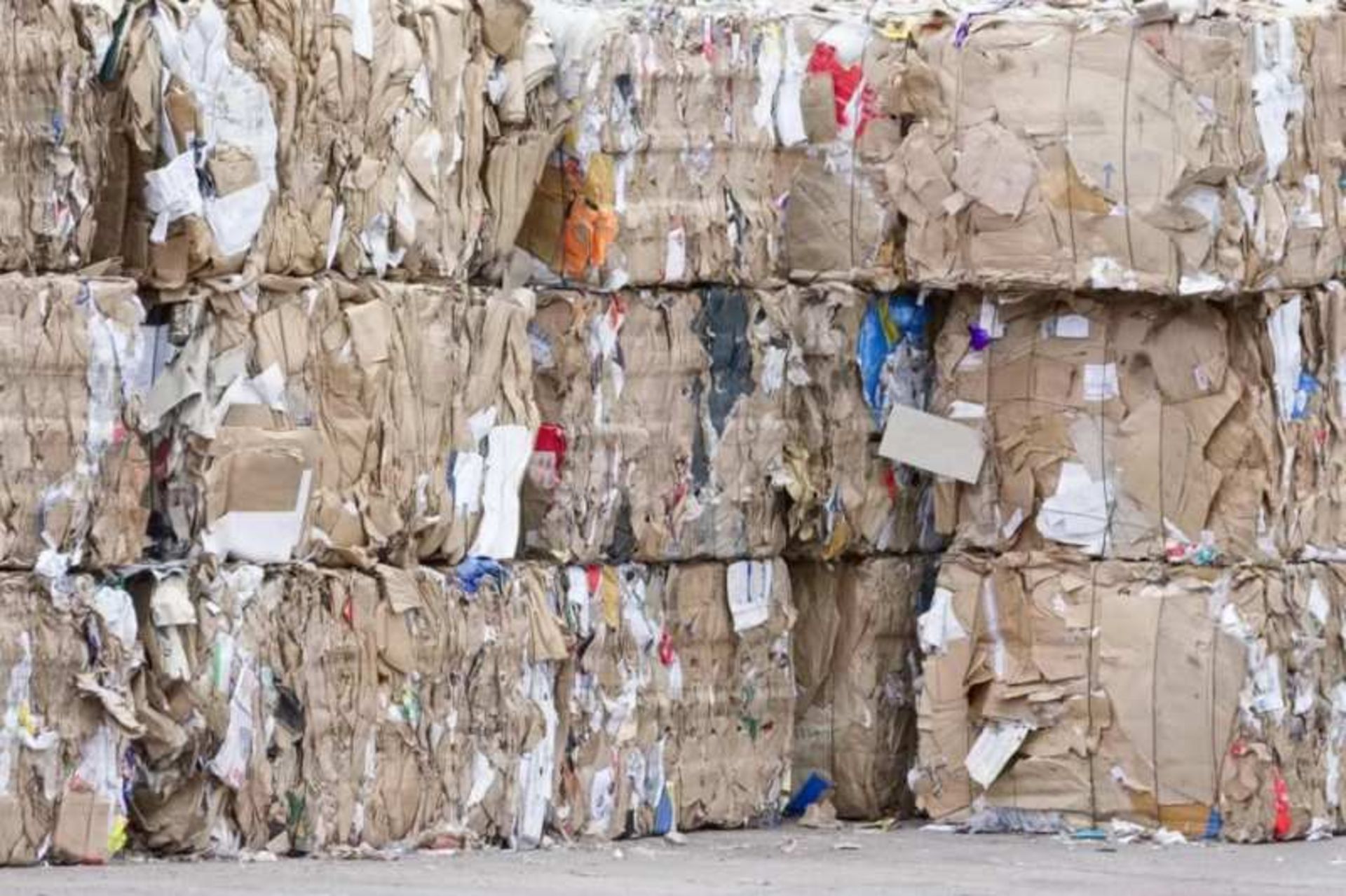 اخبار زیست محیطی