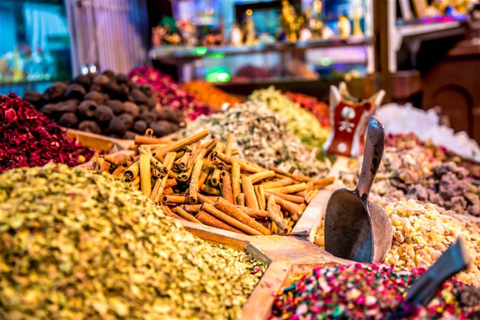 ۲۴ ساعت در دبی؛ چگو.نه یک روز عالی داشته باشیم؟