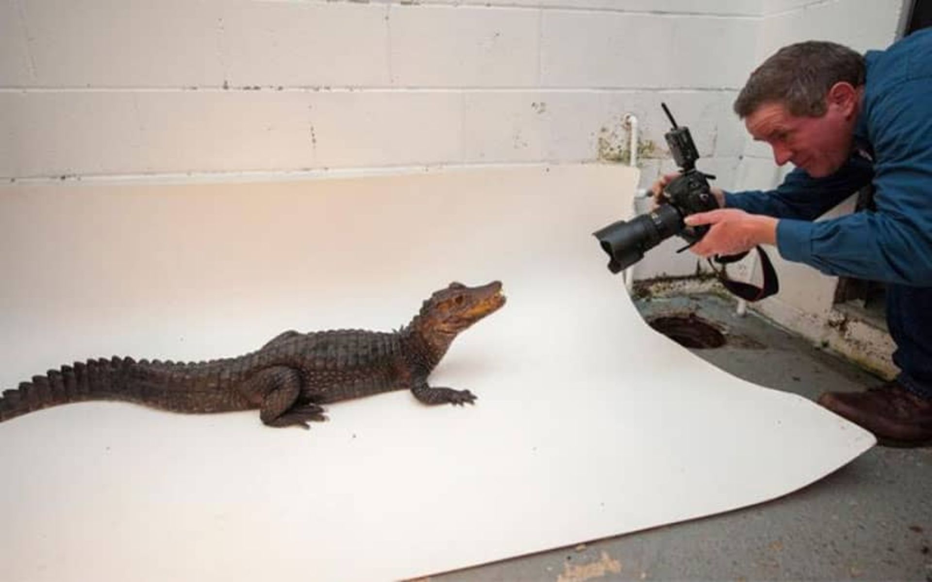 2020-1-a537535c-80dd-4f44-9fca-651a484114f6