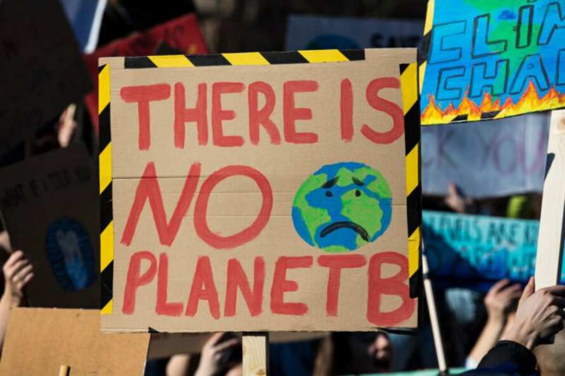 اخبار زیست محیطی