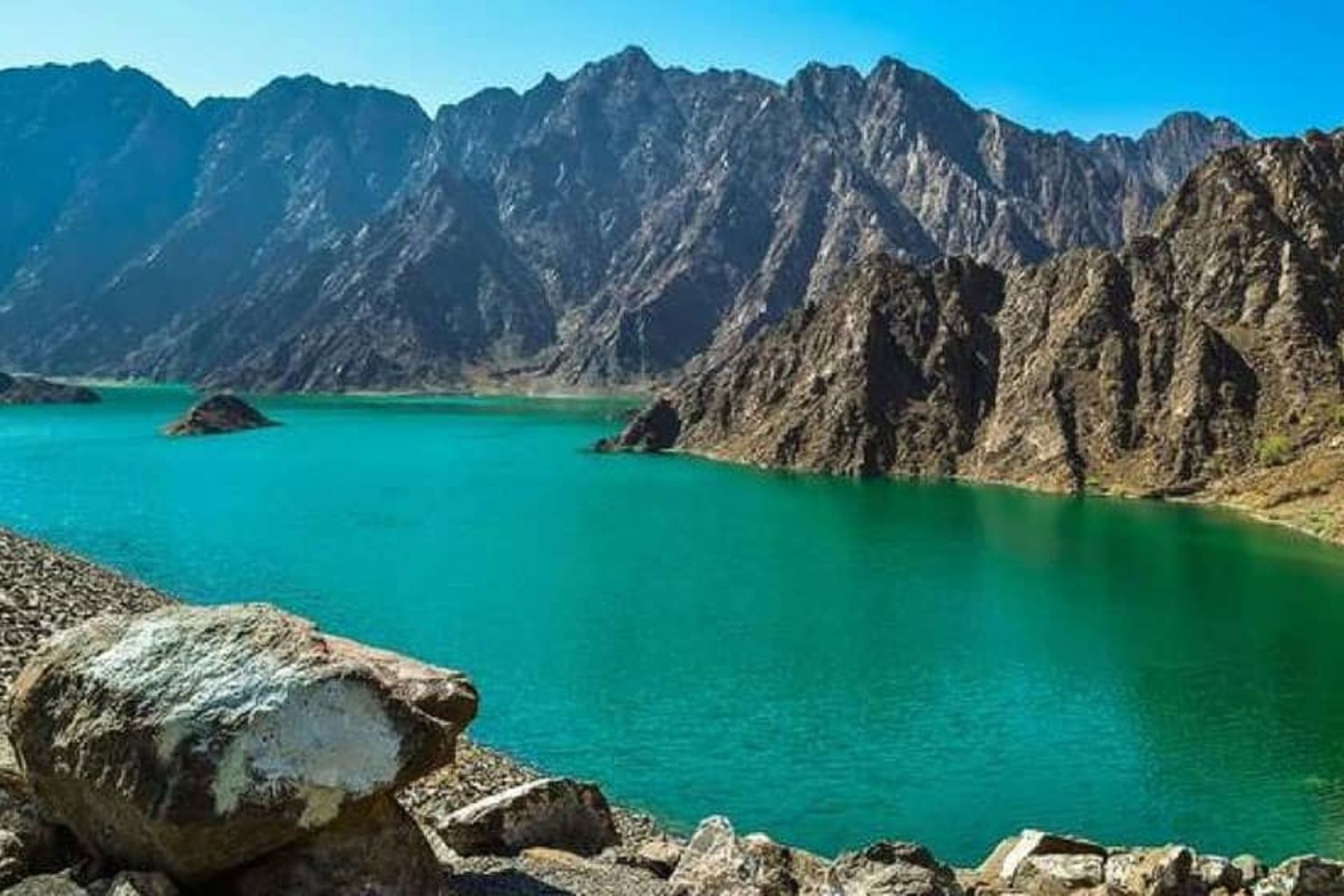 حیات وحش دبی