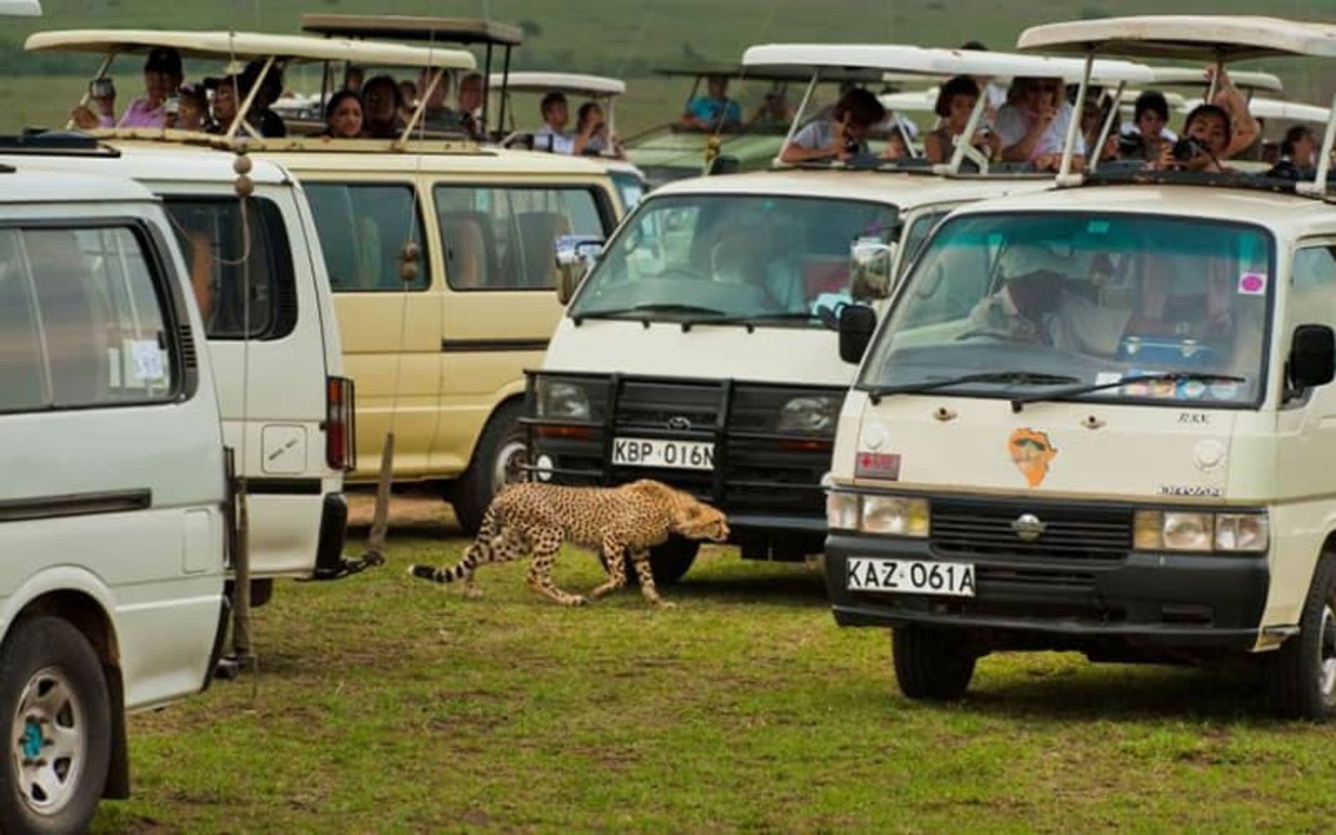 2020-1-c295a255-0784-4e79-ac42-3dcf6f1c5b85