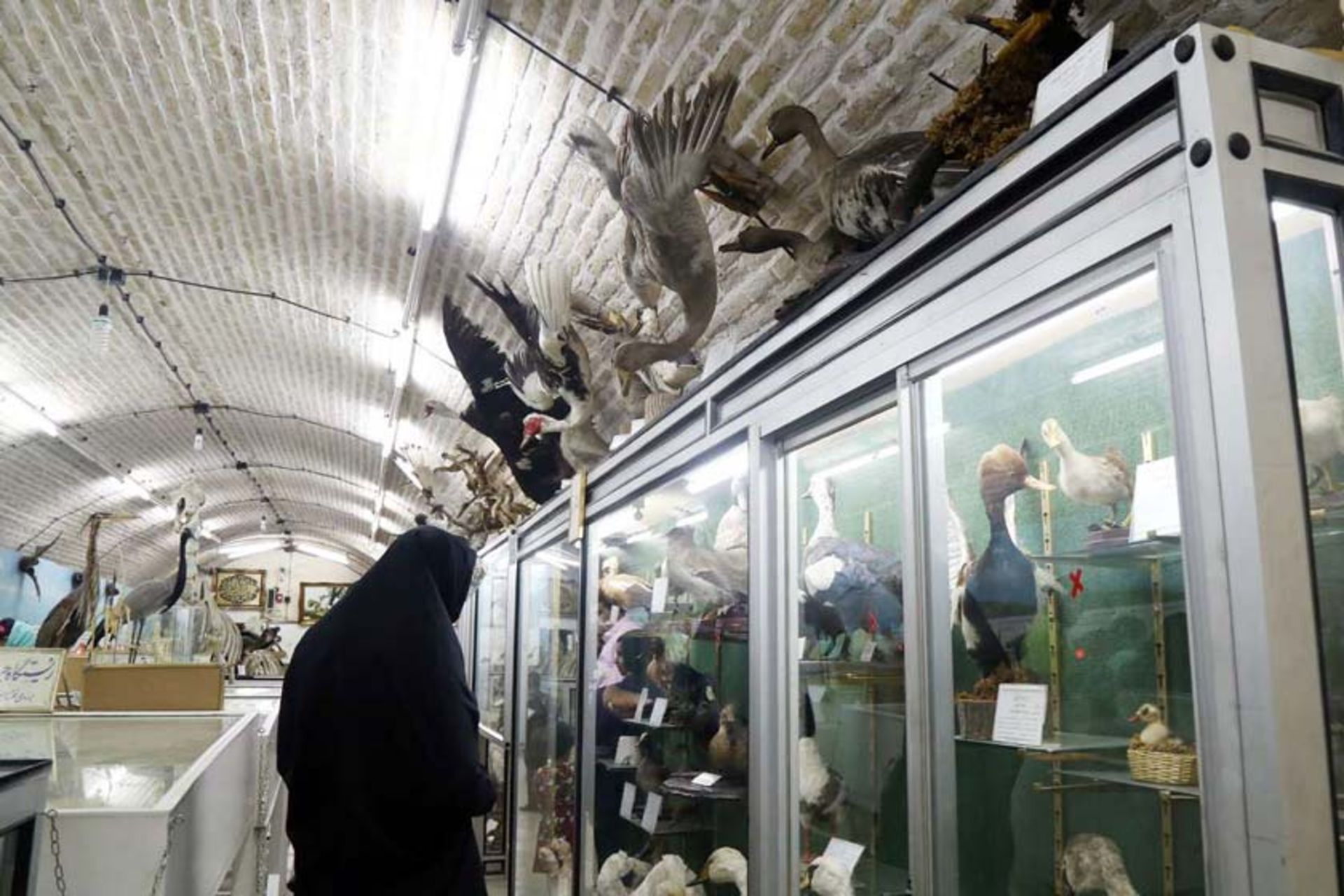 موزه علوم طبیعی یزد