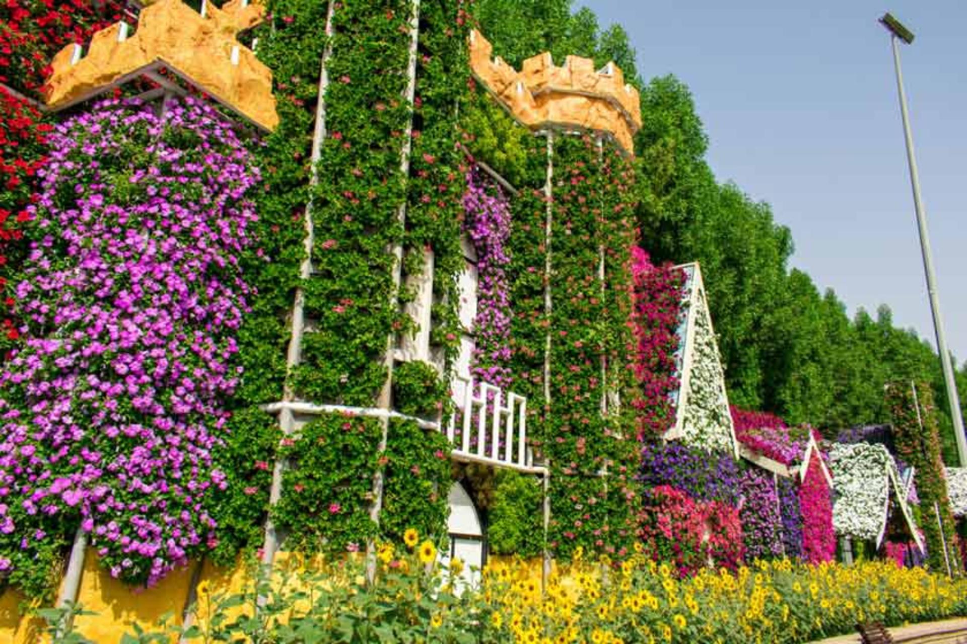 میراکل گاردن دبی (باغ معجزه دبی)