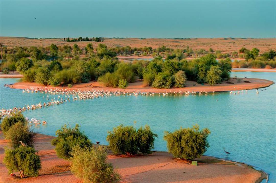 دبی؛ مکان‌هایی فوق‌العاده برای گردش زمستانی