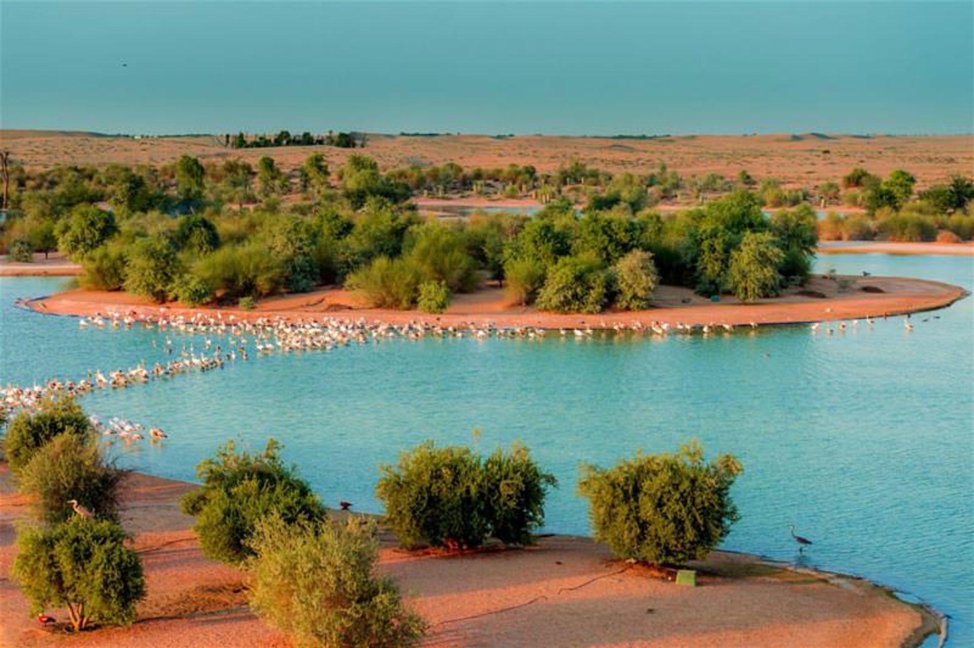 دبی؛ مکان‌هایی فوق‌العاده برای گردش زمستانی