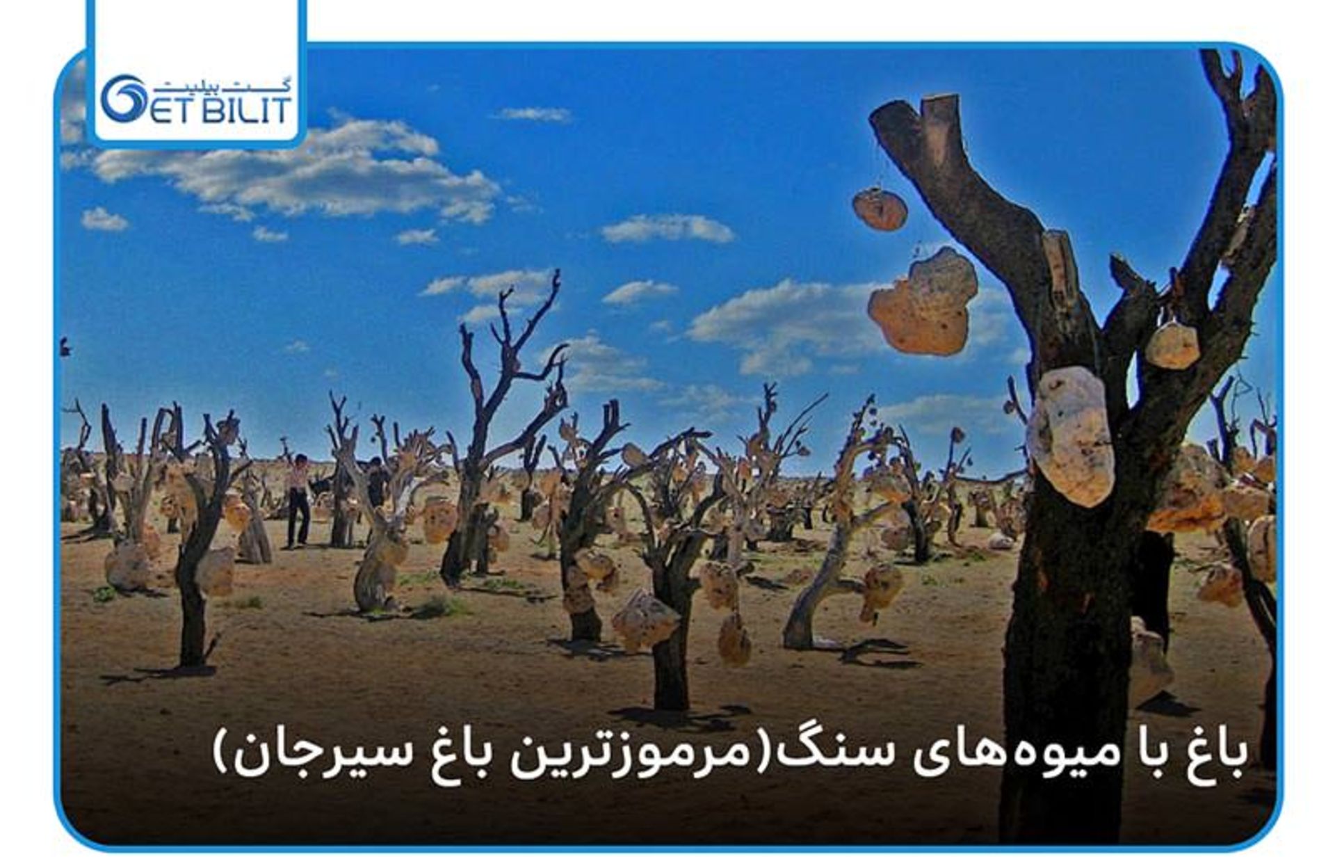 باغ میوه سنگی
