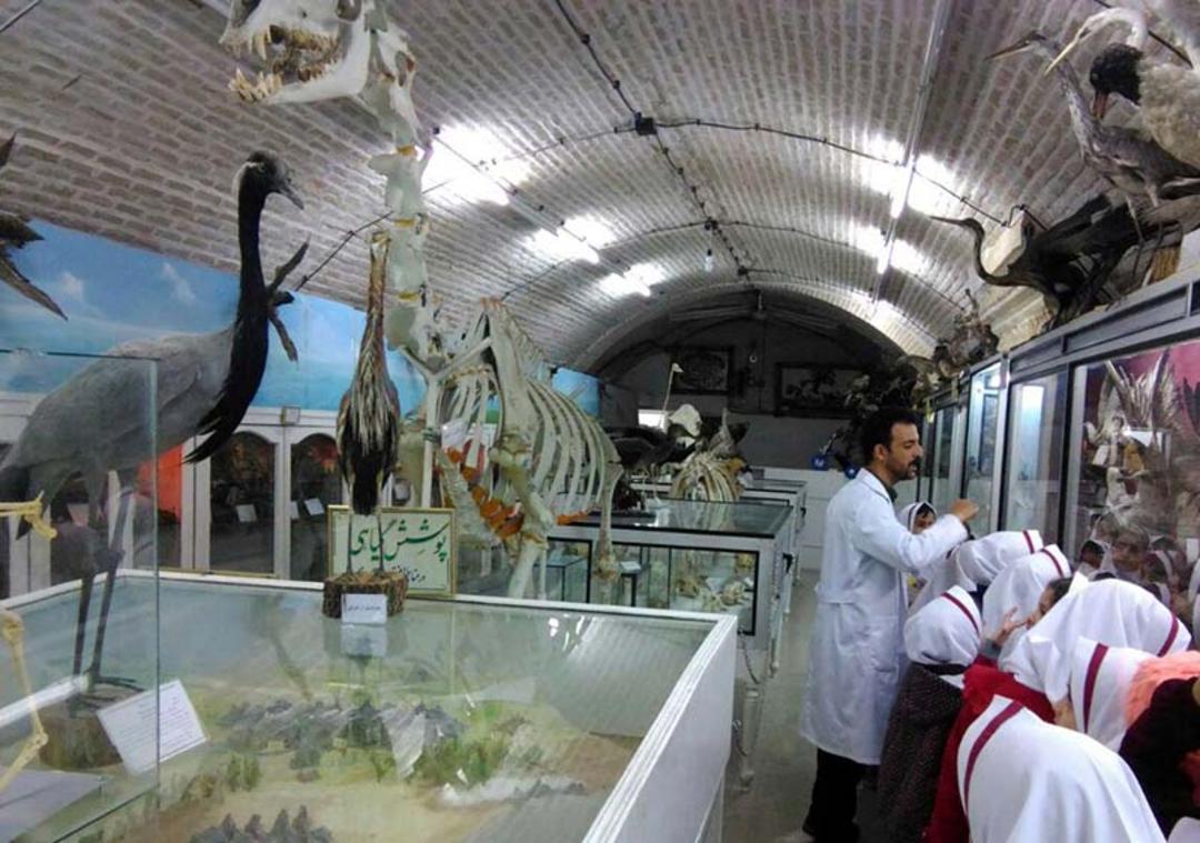 موزه علوم طبیعی یزد