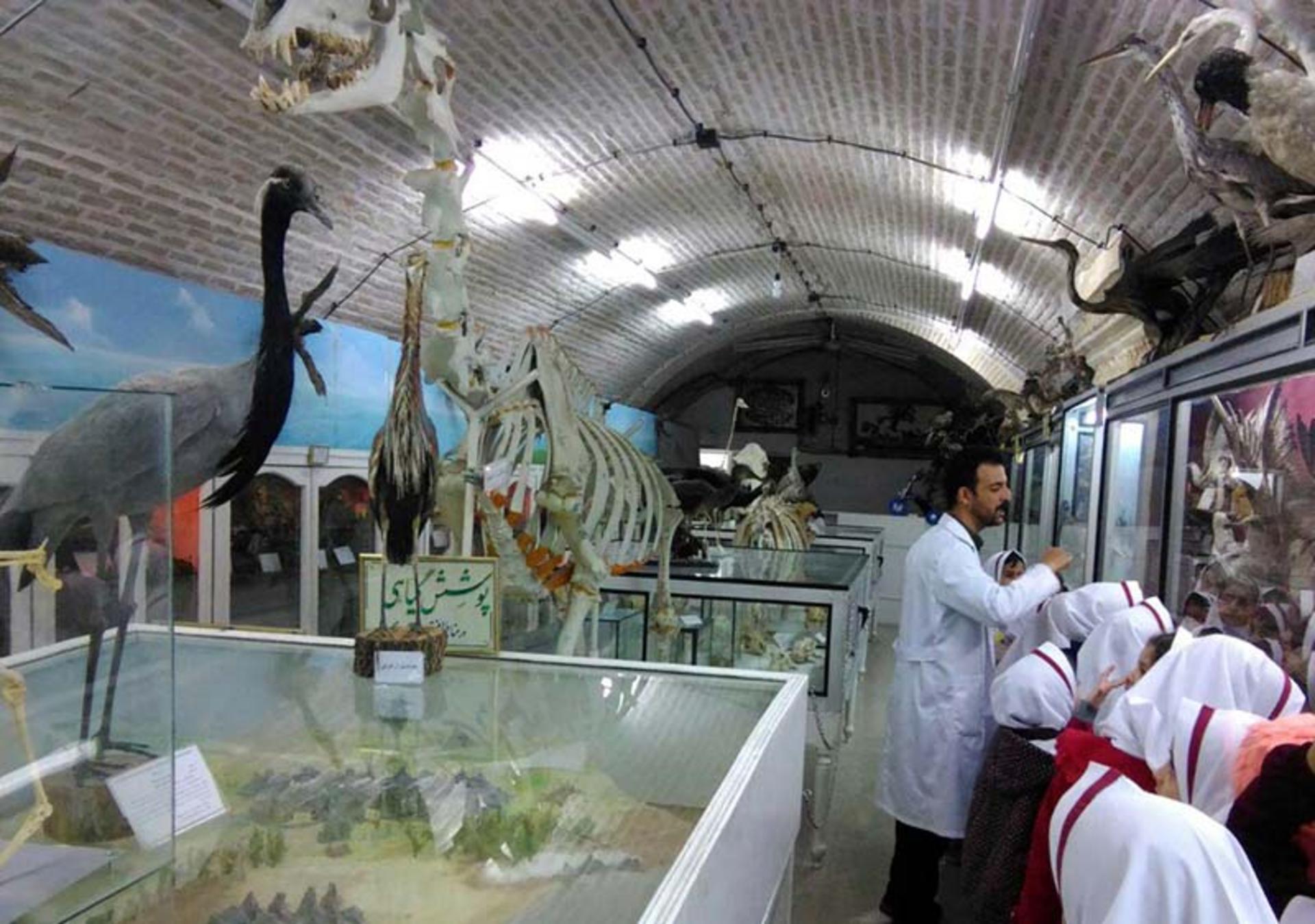 موزه علوم طبیعی یزد