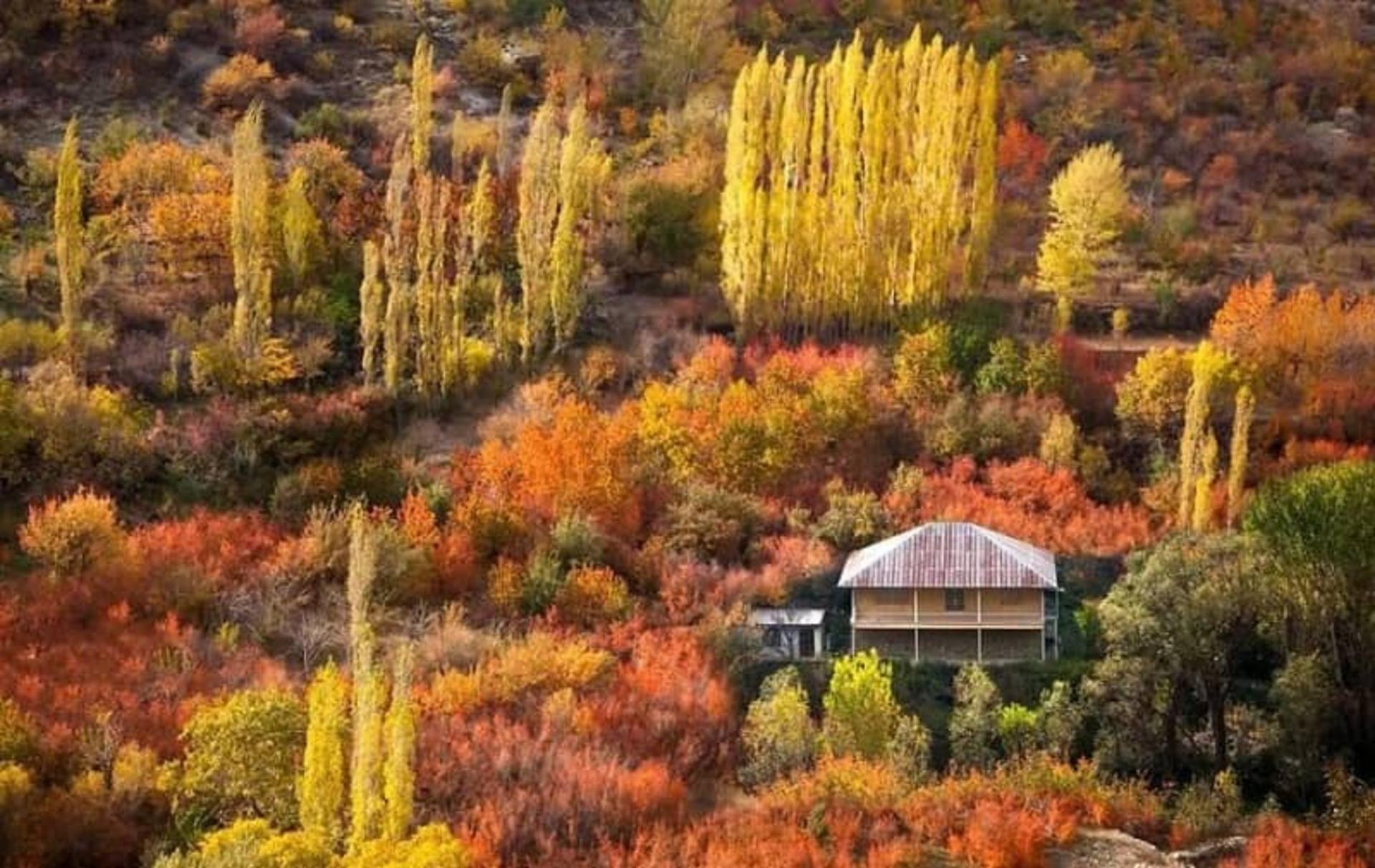 درختان رنگارنگ پاییزی در شهرستانک