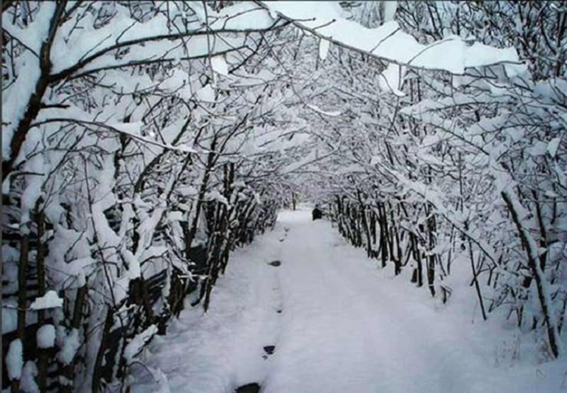 نمایی زیبا از زمستان شهرستانک