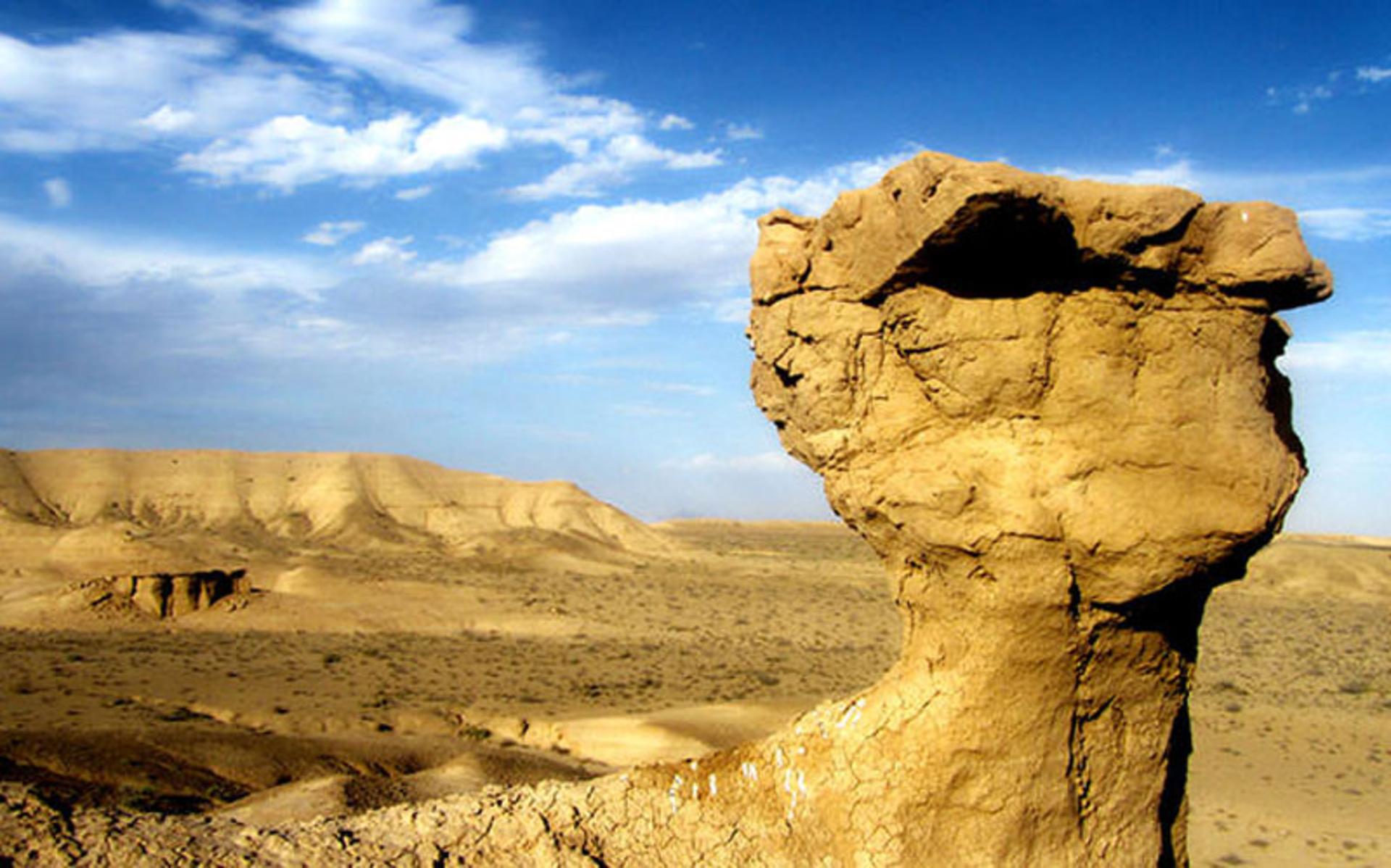کلوت های کویر لوت
