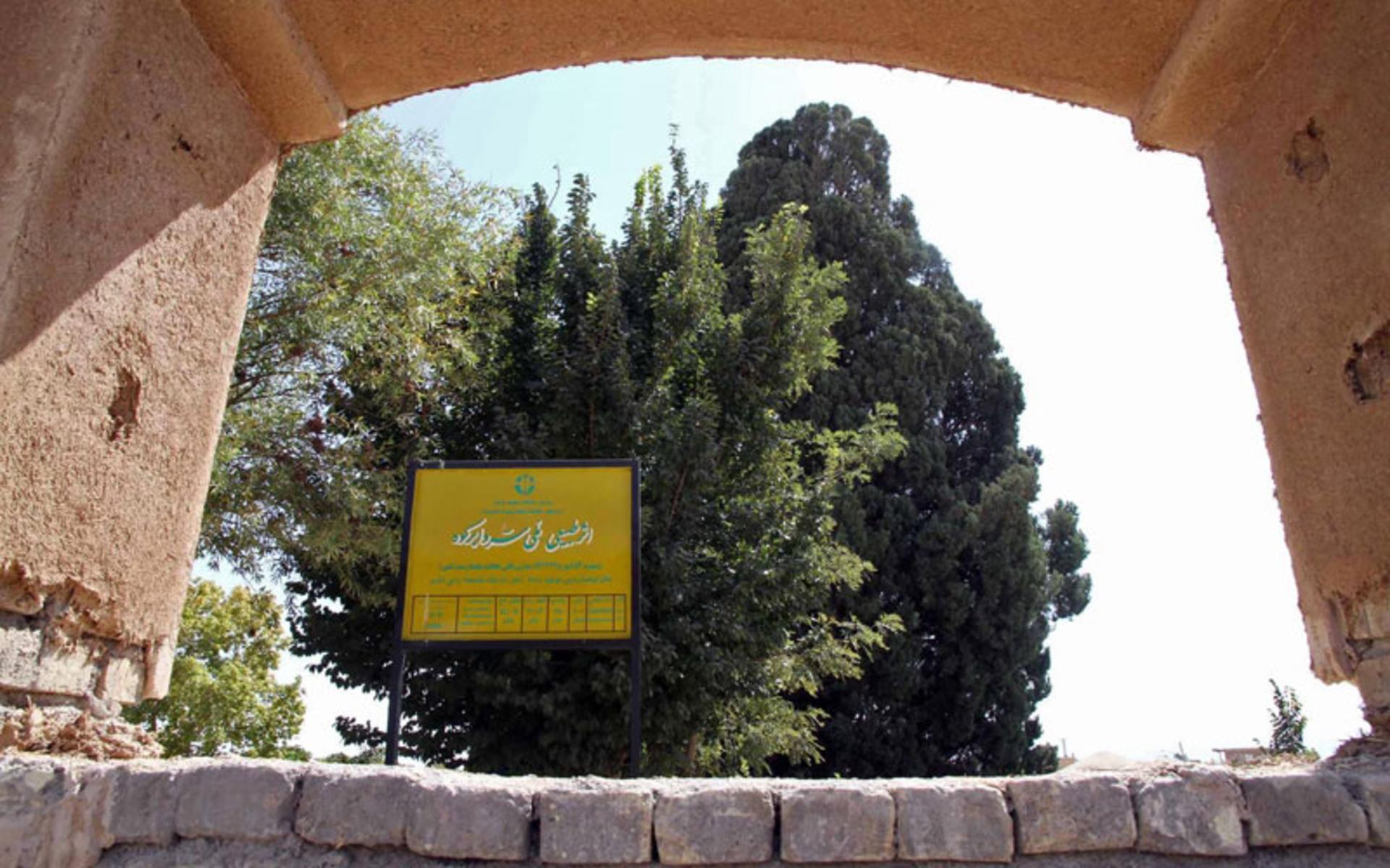 تابلوی اداره میراث فرهنگی استان یزد اطلاعات سرو ابرکوه
