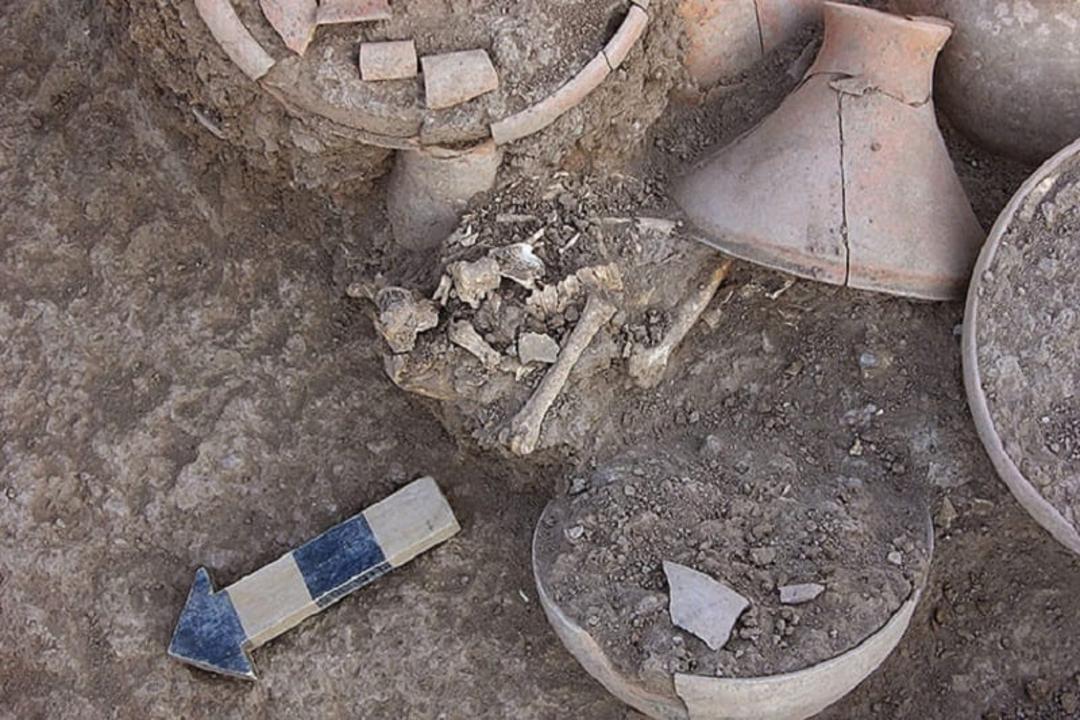 تاریخچه کله پاچه