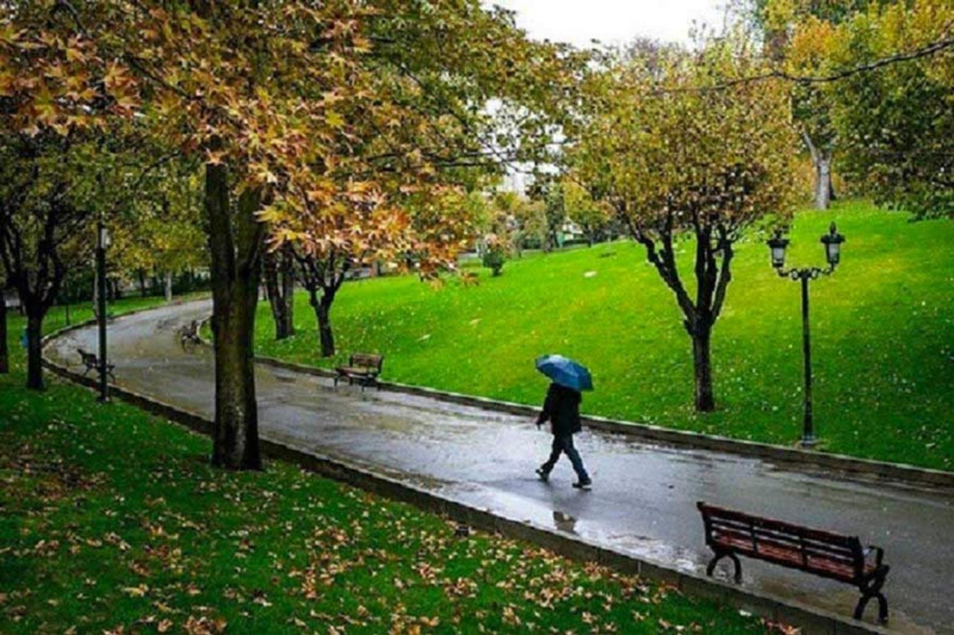 نمای داخلی پارک ملت تهران در پاییز