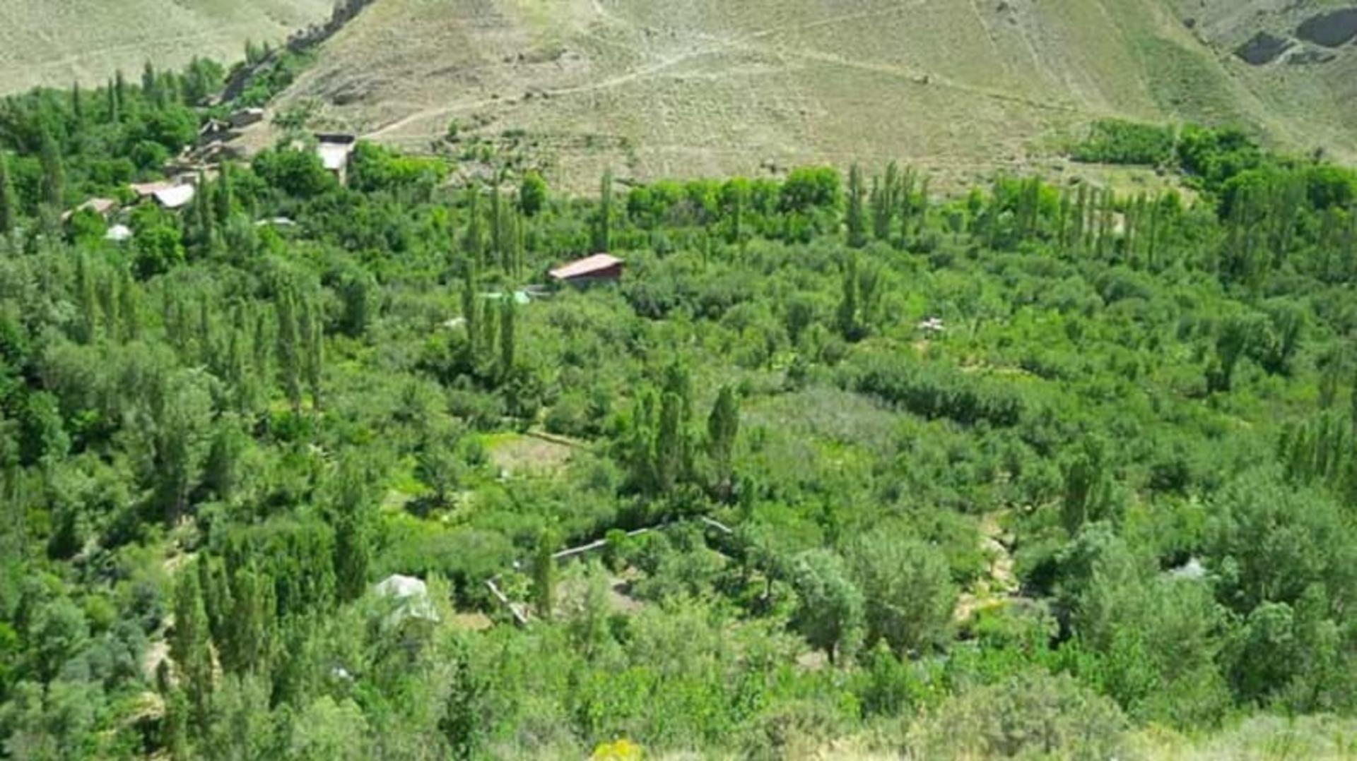 نمایی زیبا از فصل سبز تابستان شهرستانک