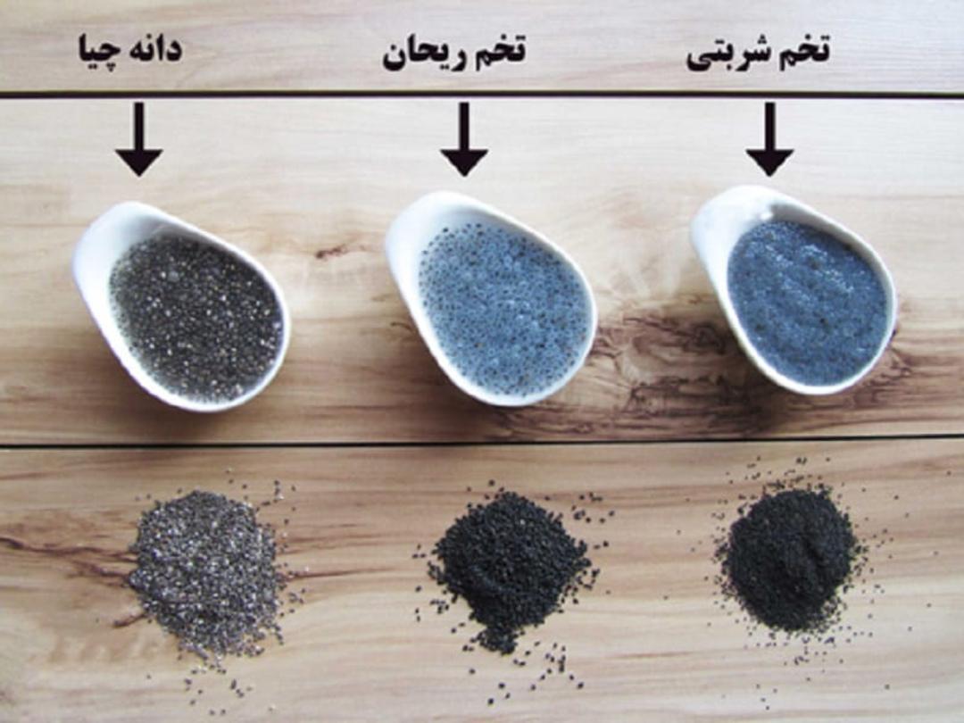 تفاوت تخم شربتی، دانه چیا و تخم ریحان
