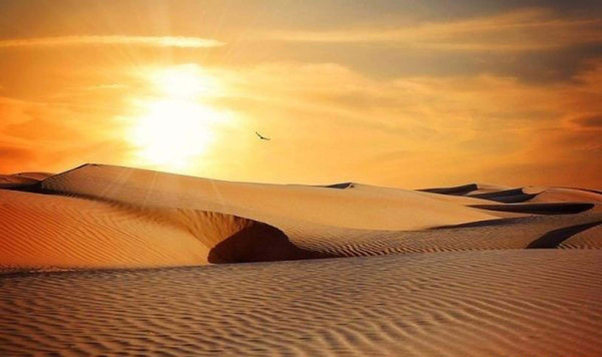 غروب در ریگزارهای کویر مصر