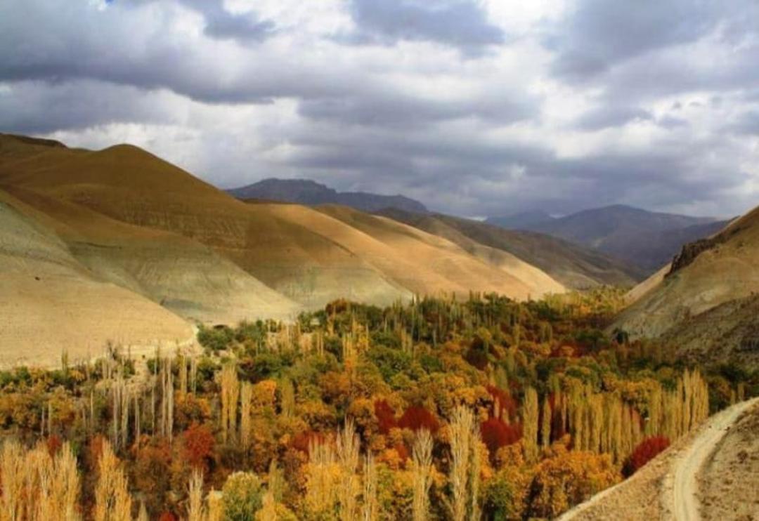 پوشش گیاهی و جانوری شهرستانک