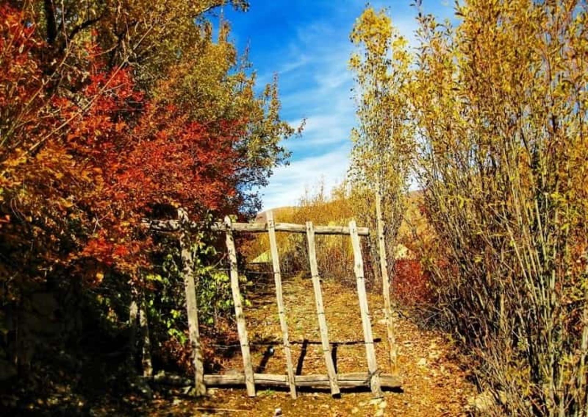 چشم انداز پاییزی در شهرستانک