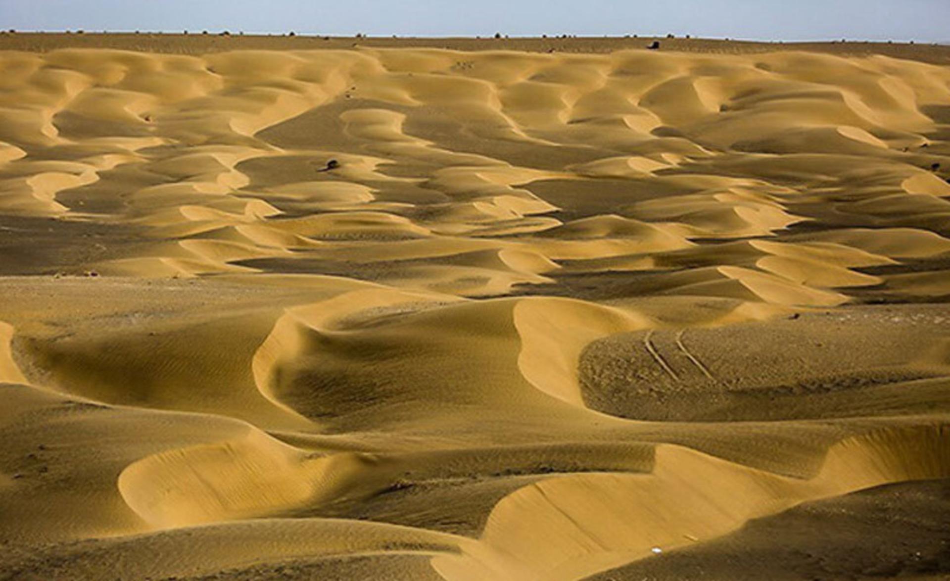 شنزارهای روان کویر مصر