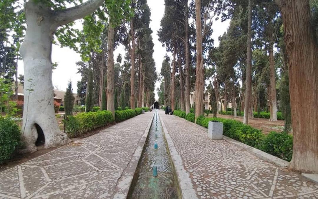 باغ بزرگی با درختان سرو بلند و جوی آب دارای فواره