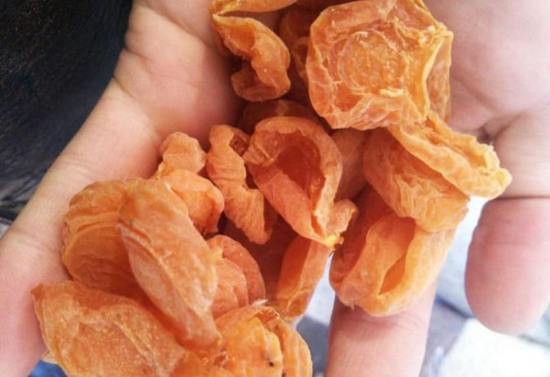 سوغات شهرستانک