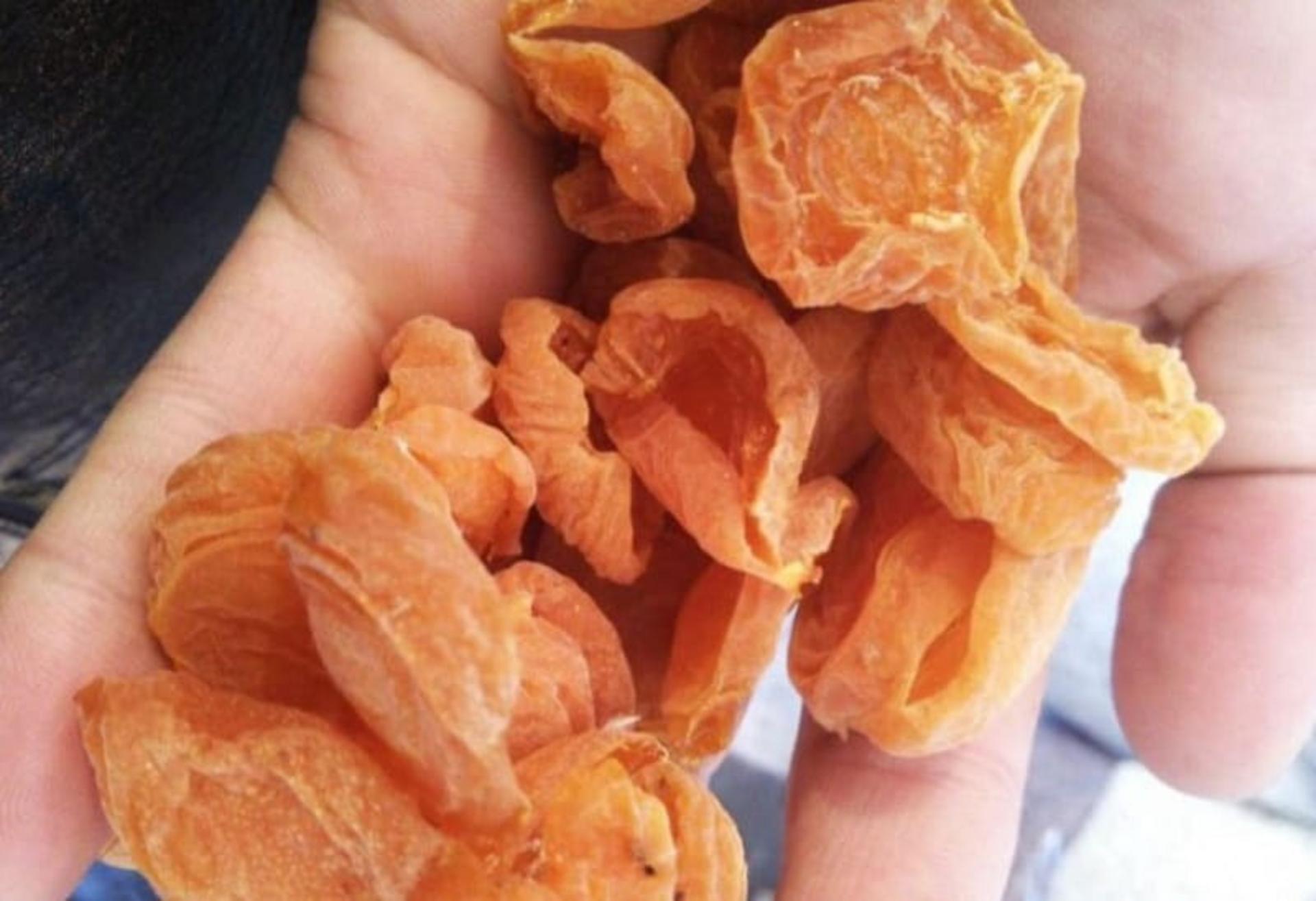 سوغات شهرستانک