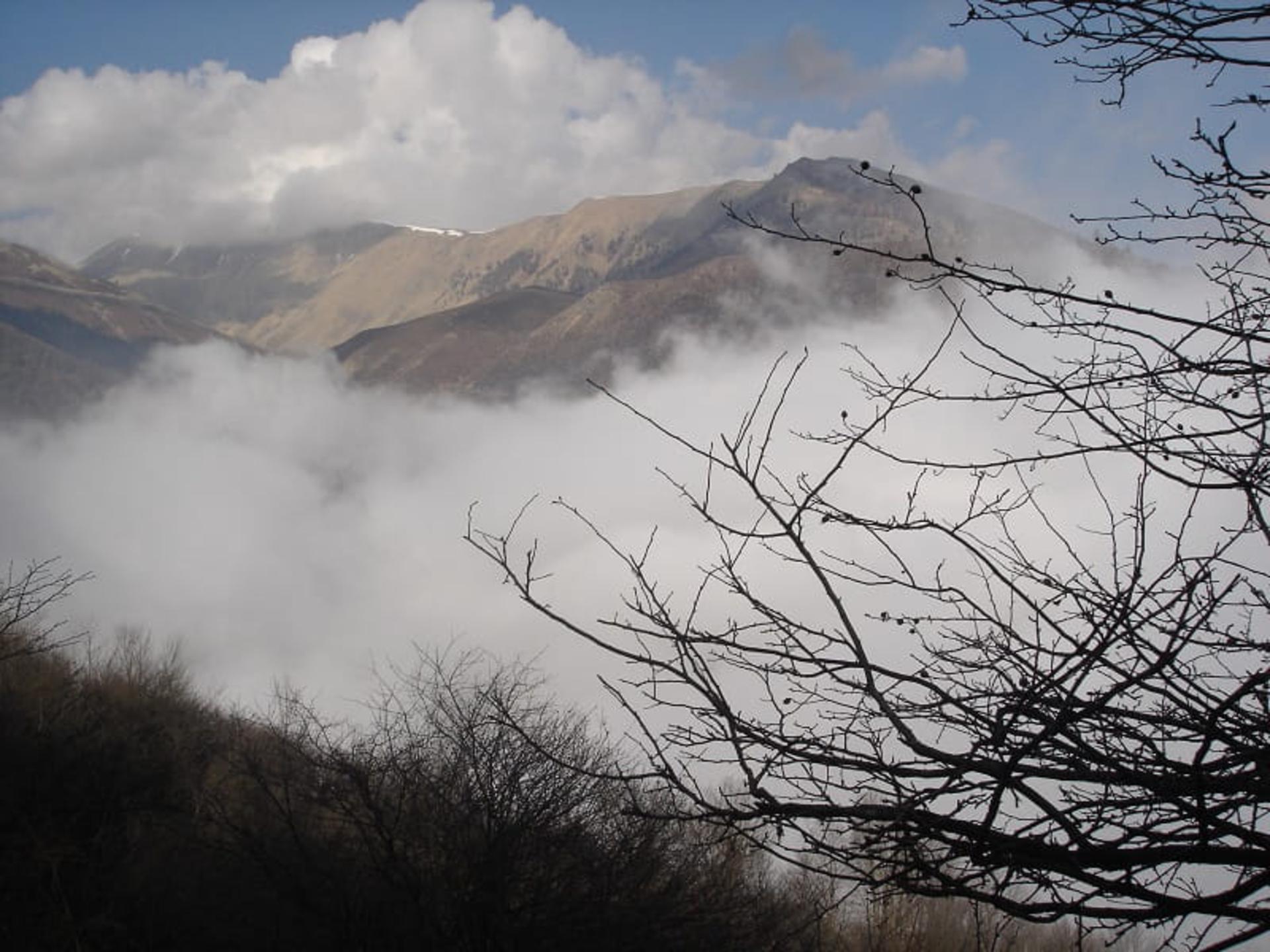 چشم اندازی از کوه های ماسوله