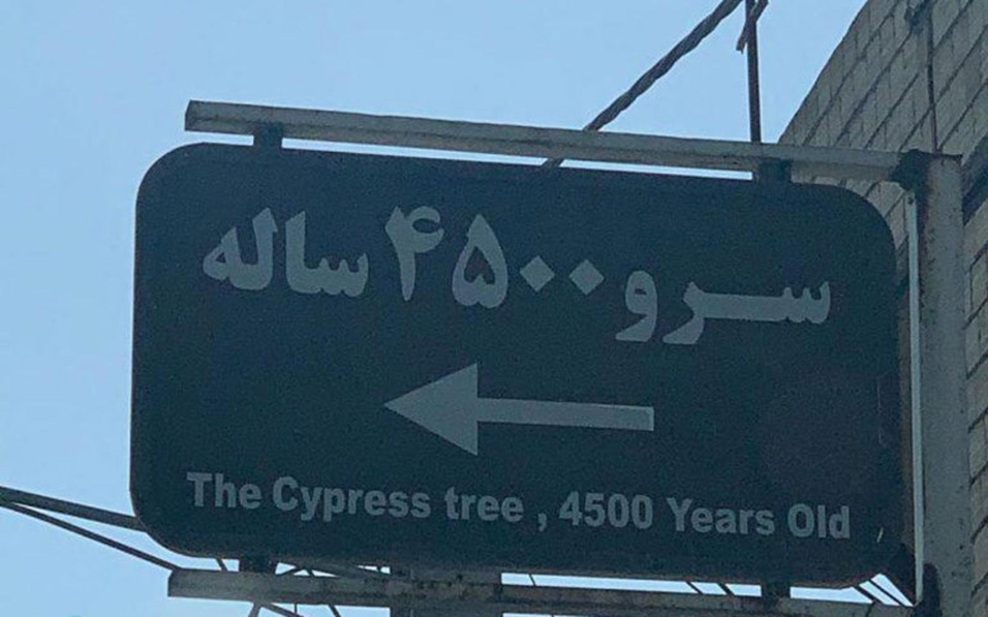 تابلوی راهنمای مسیر سرو ۴۵۰۰ ساله ابر کوه