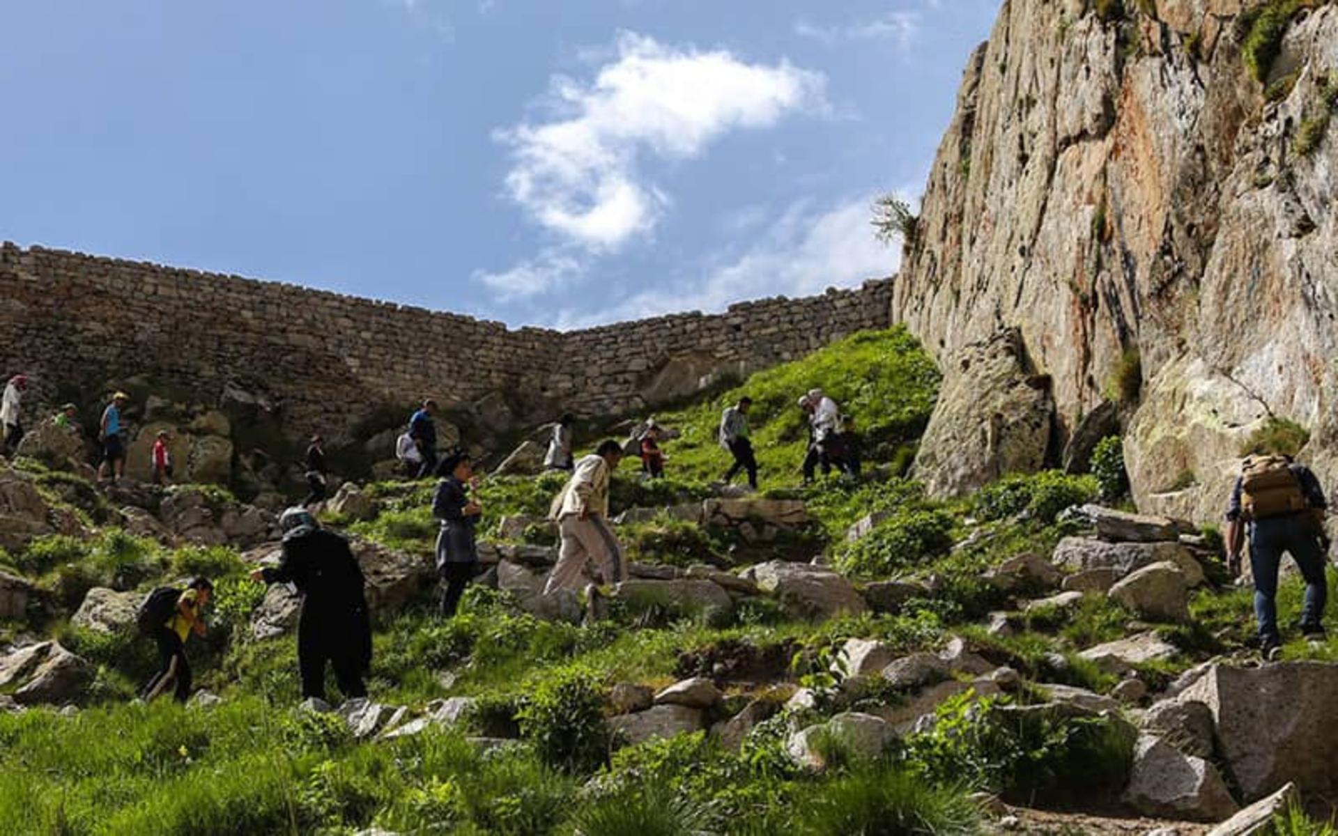 گردشگران در حال بالا رفتن از دامنه کوه