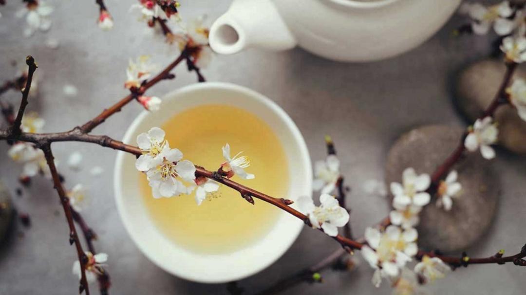 چای سفید چیست