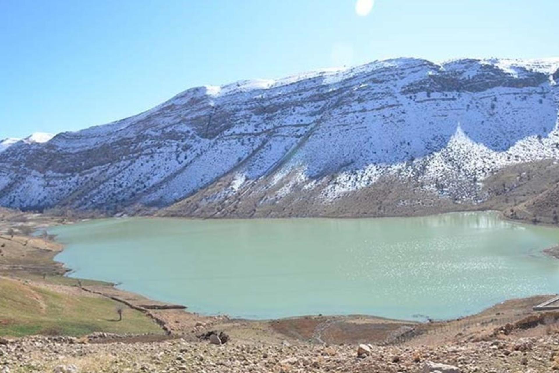 دریاچه مور زرد