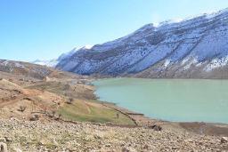 دریاچه مور زرد