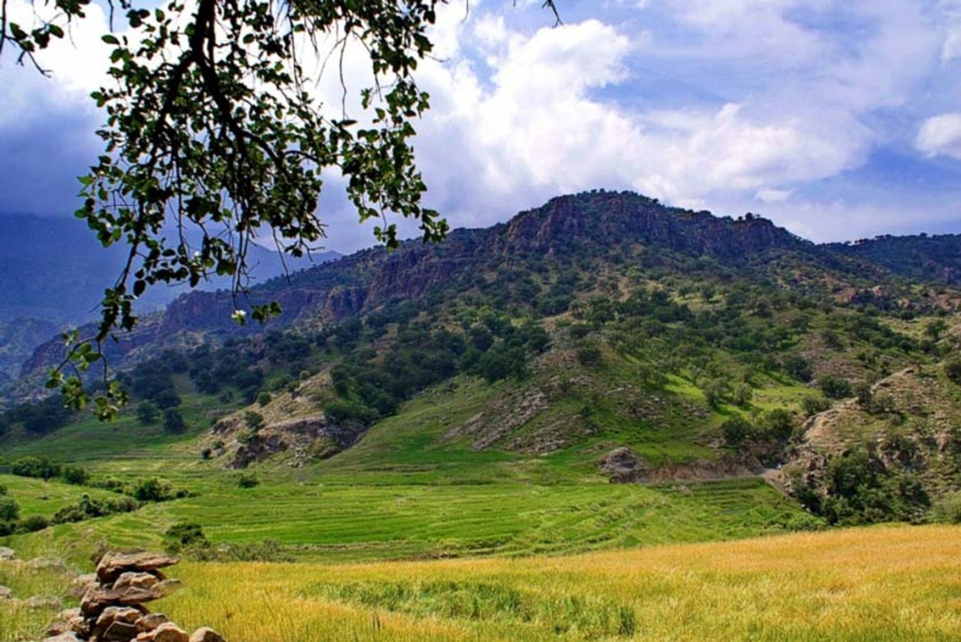 روستای شاه بهرام