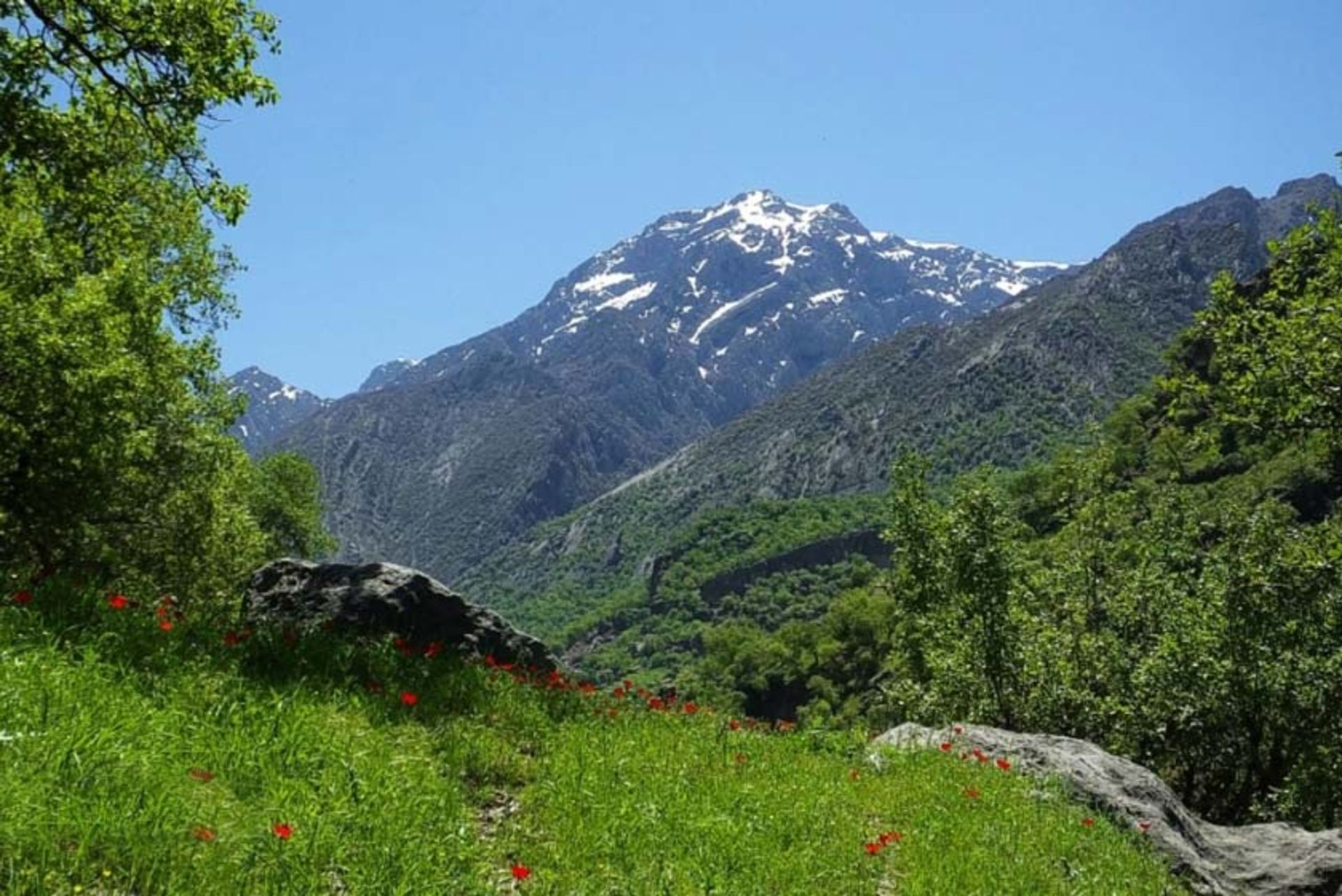 روستای شاه بهرام