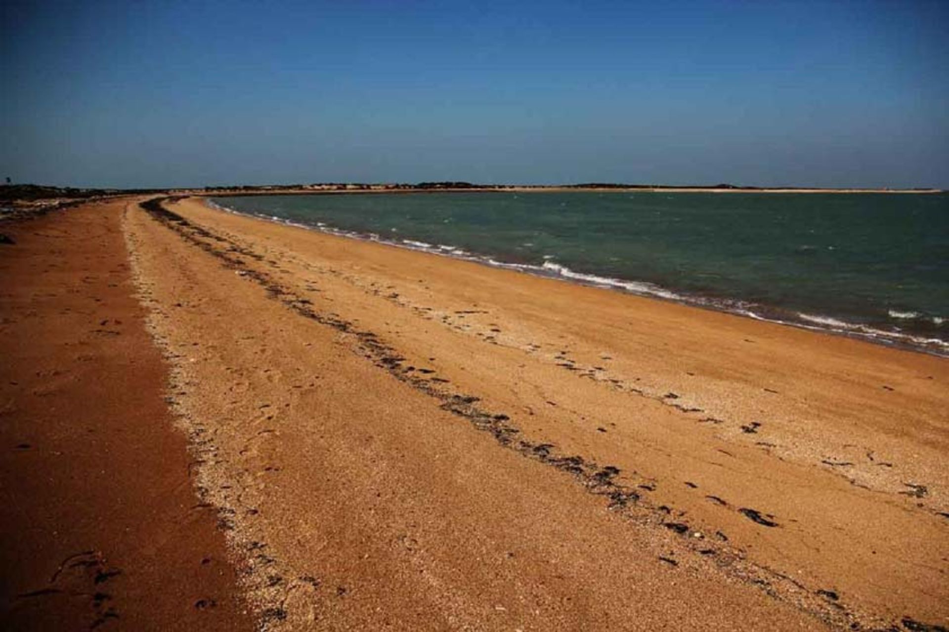 جزیره ام‌ الکرم