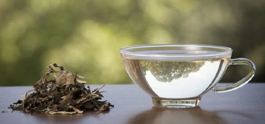 چای سفید چقدر کافئین دارد