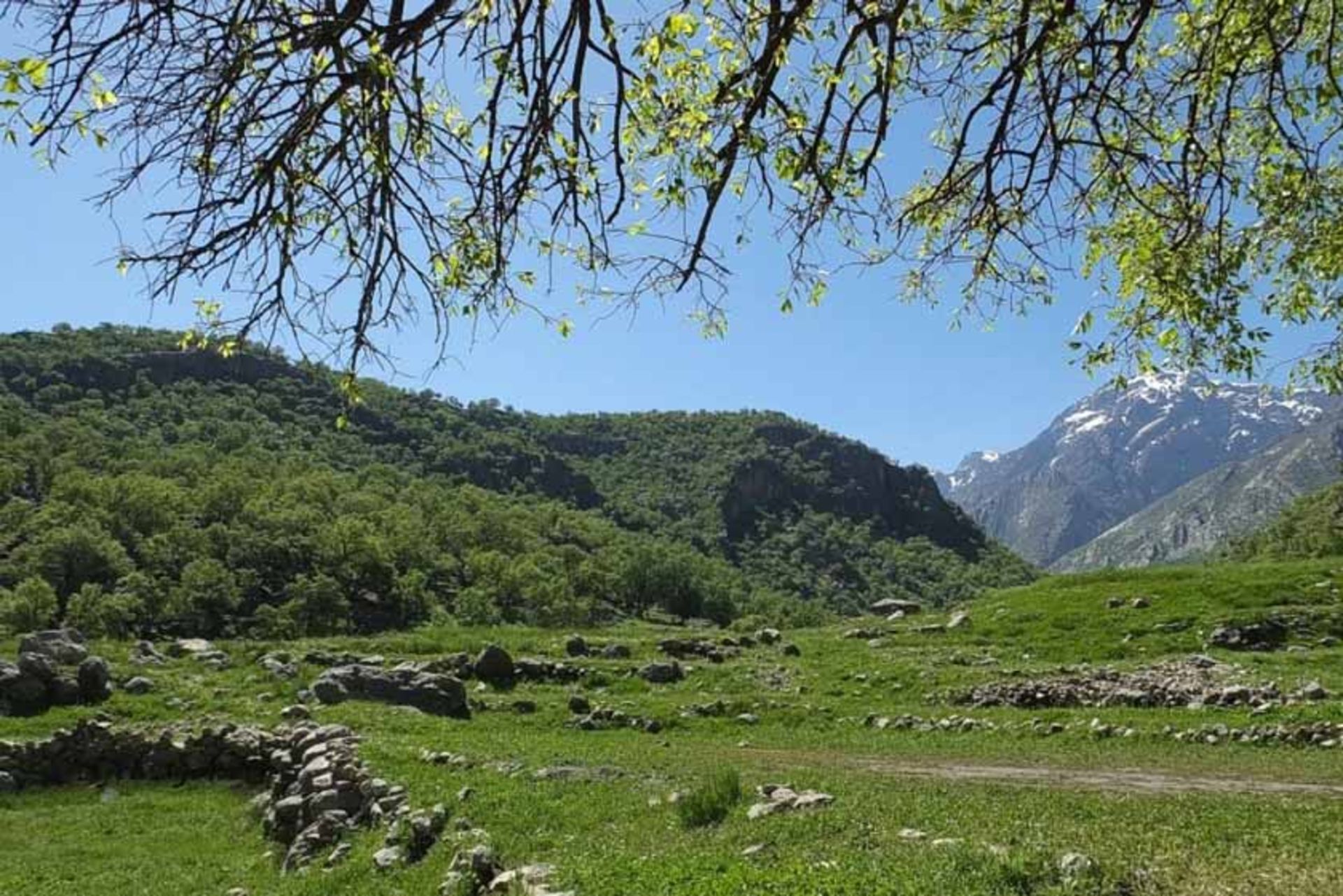 روستای شاه بهرام