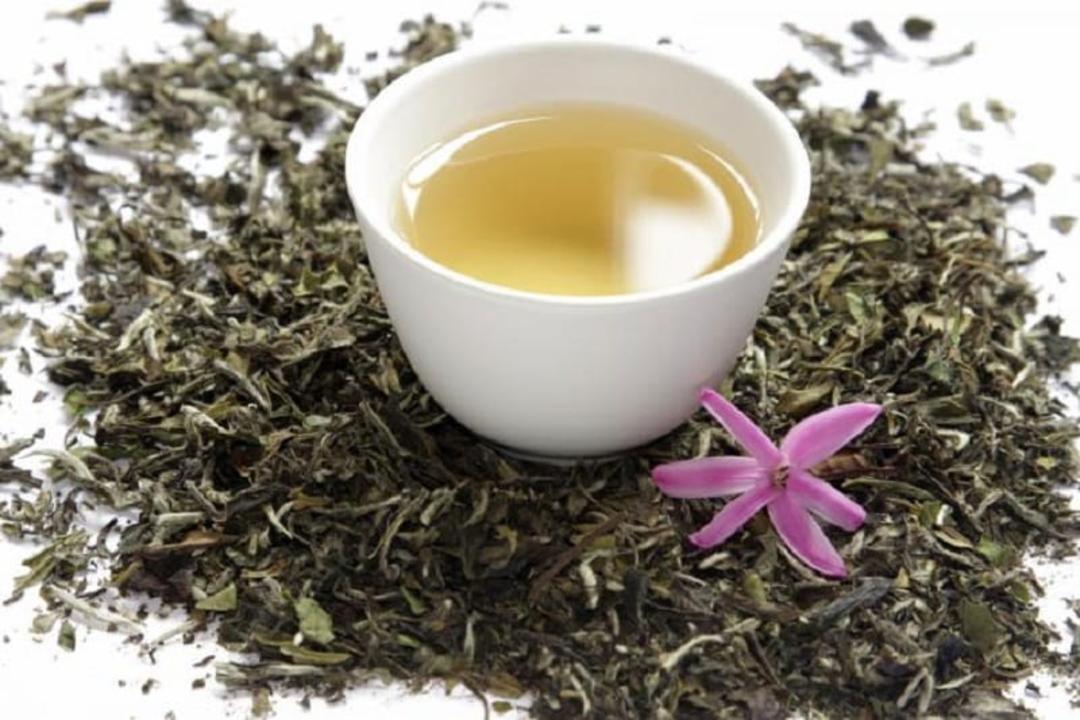 فواید چای سفید