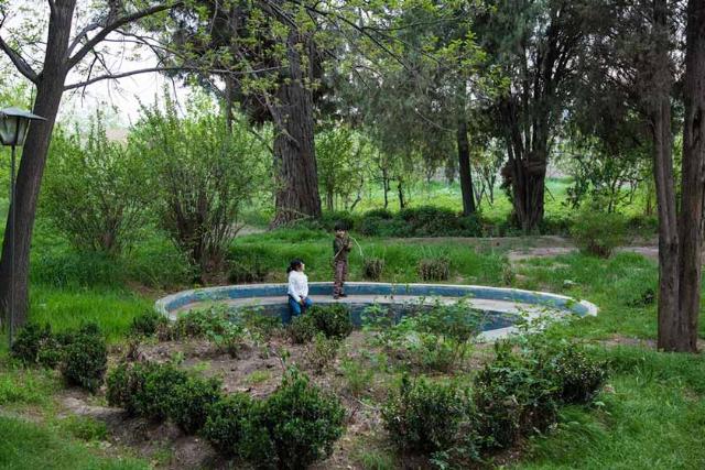 باغ و عمارت تاریخی سعیدی