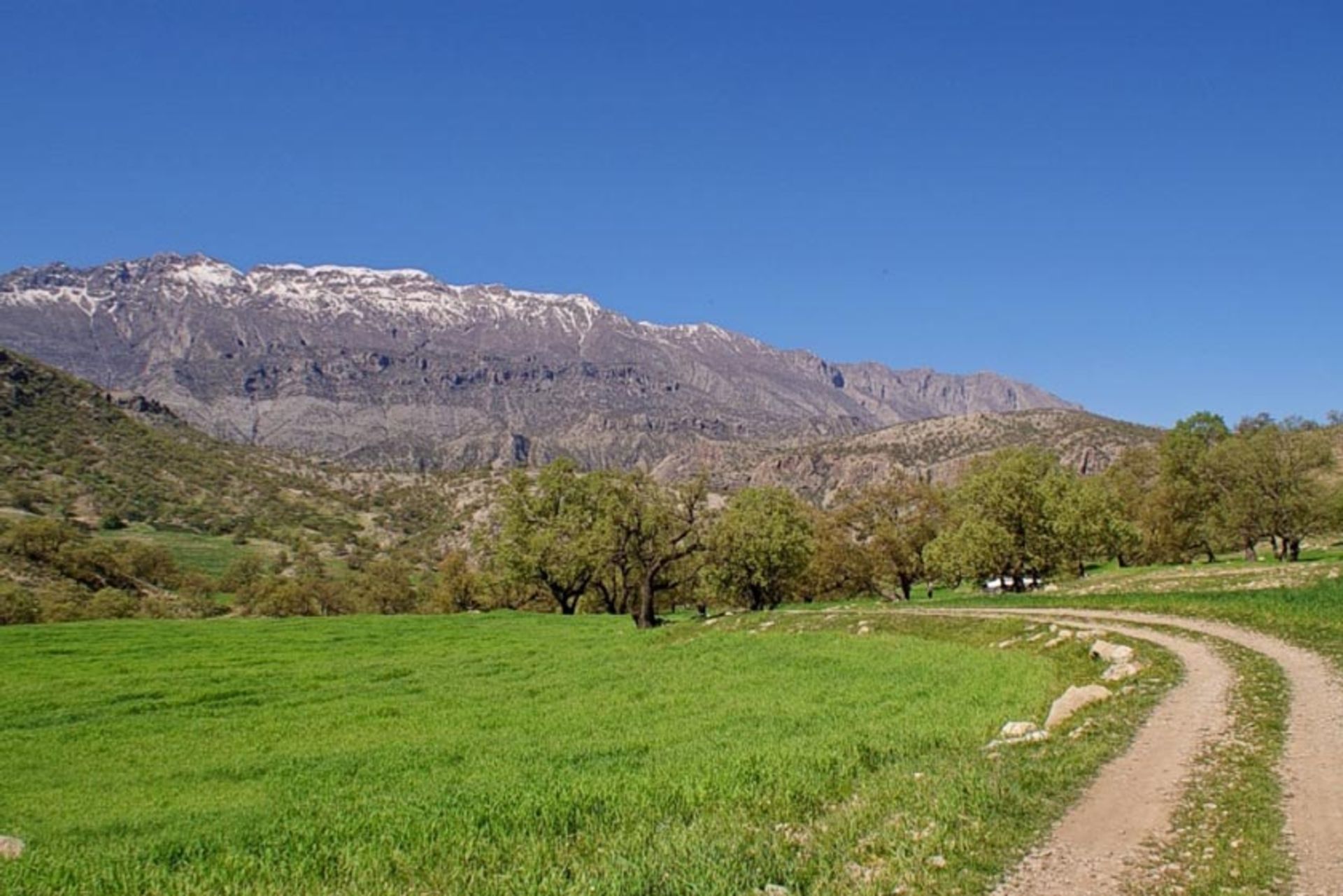 روستای شاه بهرام