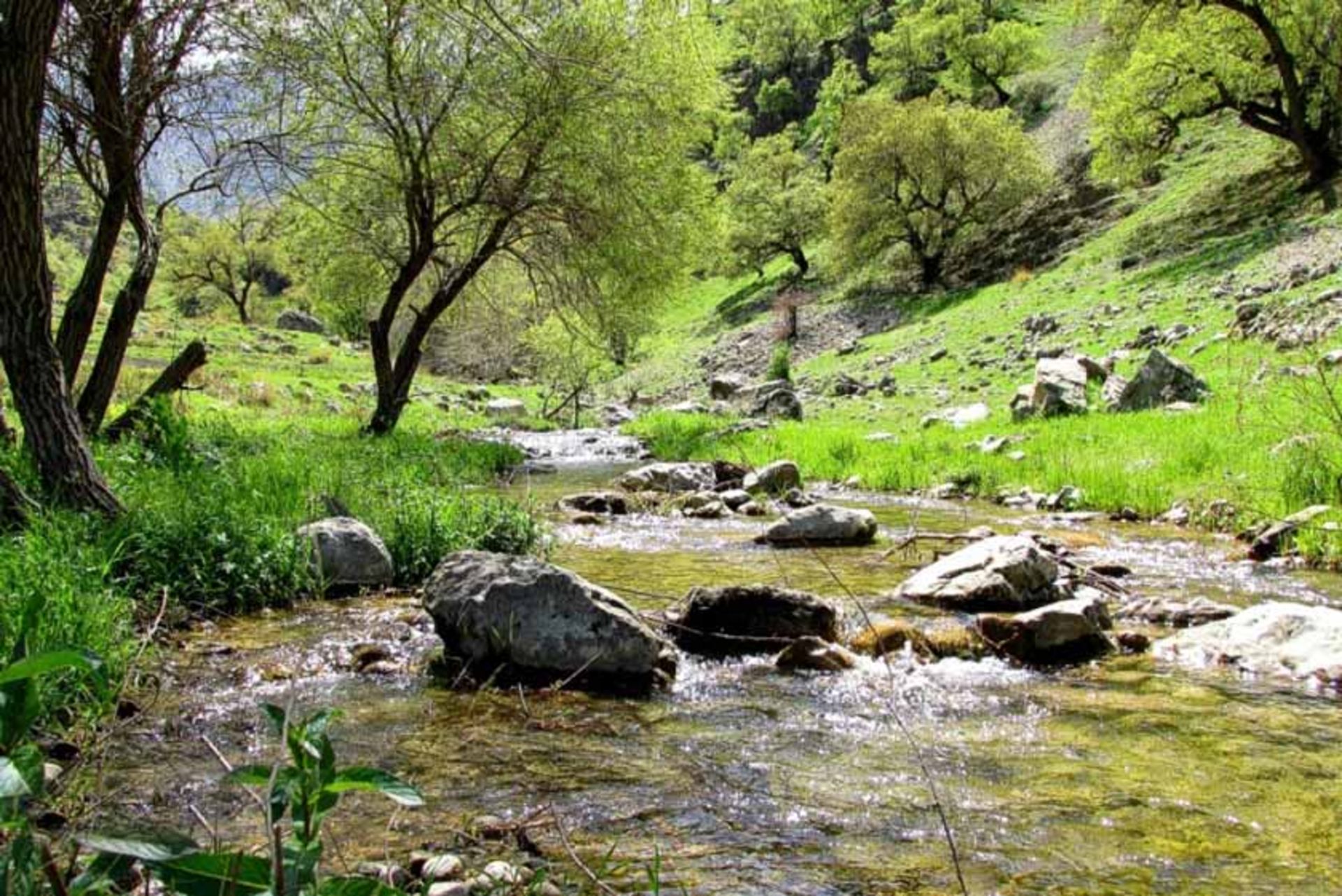 روستای شاه بهرام