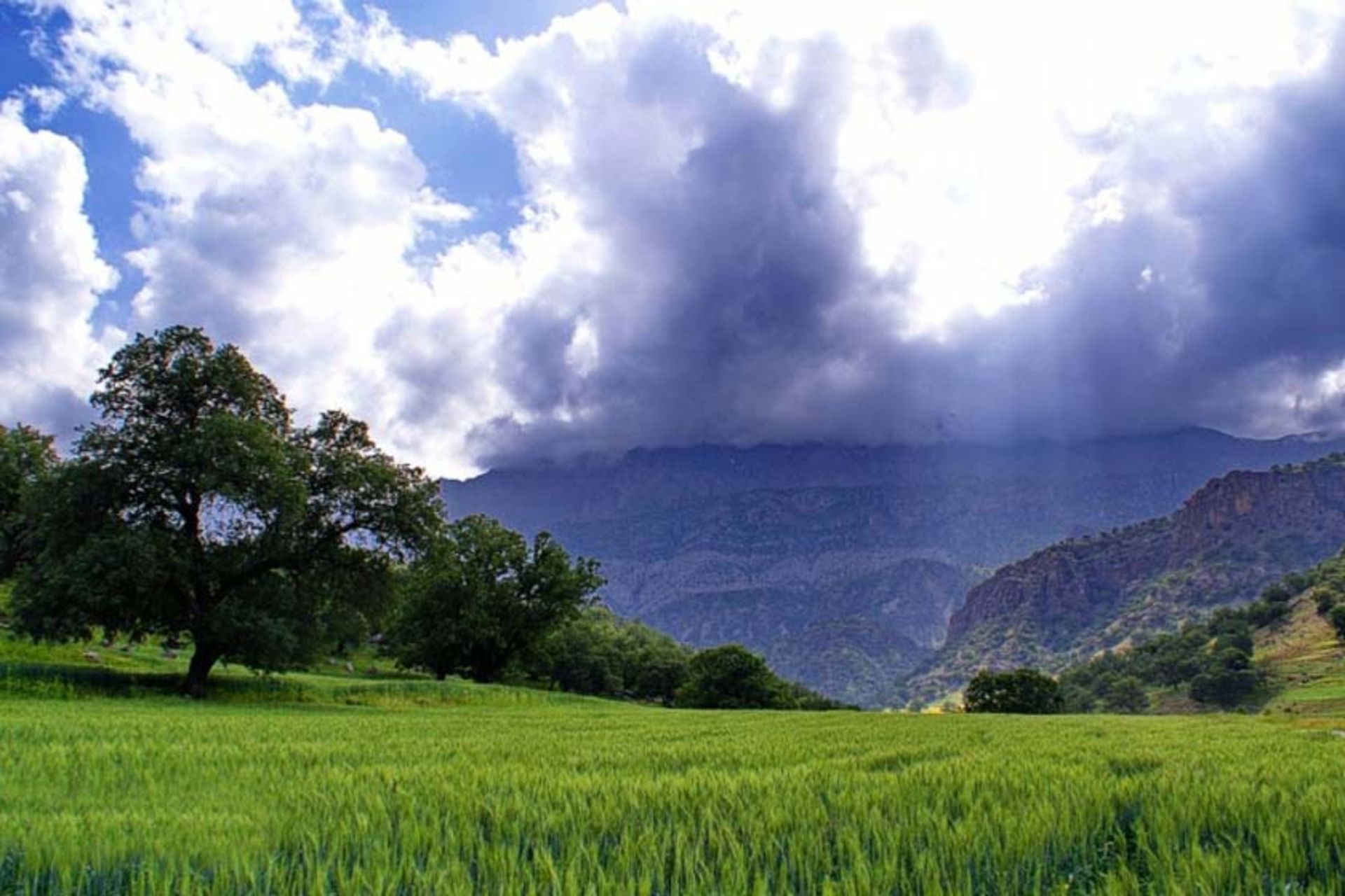 روستای شاه بهرام