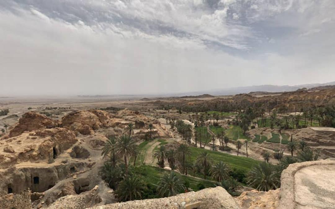 منطقه کویری نایبند با درختهای نخل