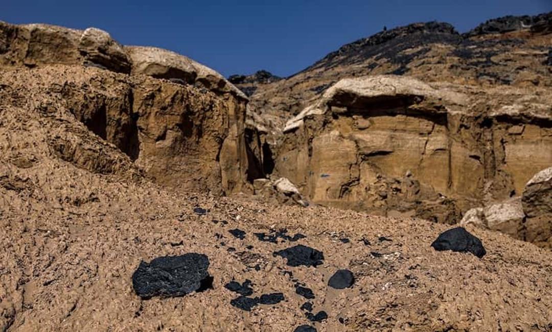 دمای هوای گندم بریان