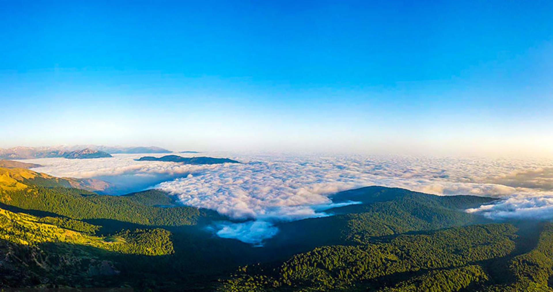 جنگل بولا از نمای بالا در میان ابرها