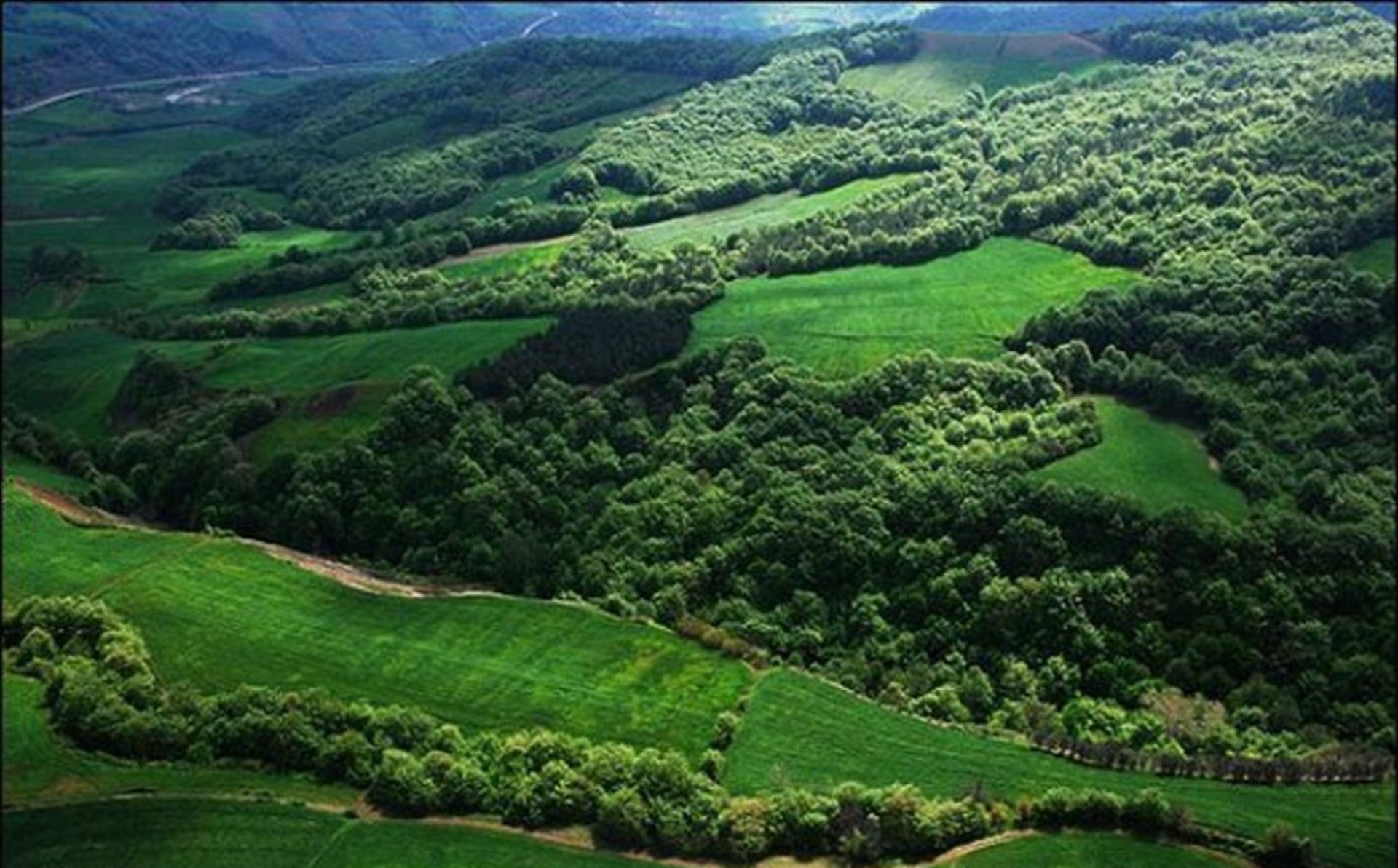 مراتع و درختان جنگل کجور از نمای بالا