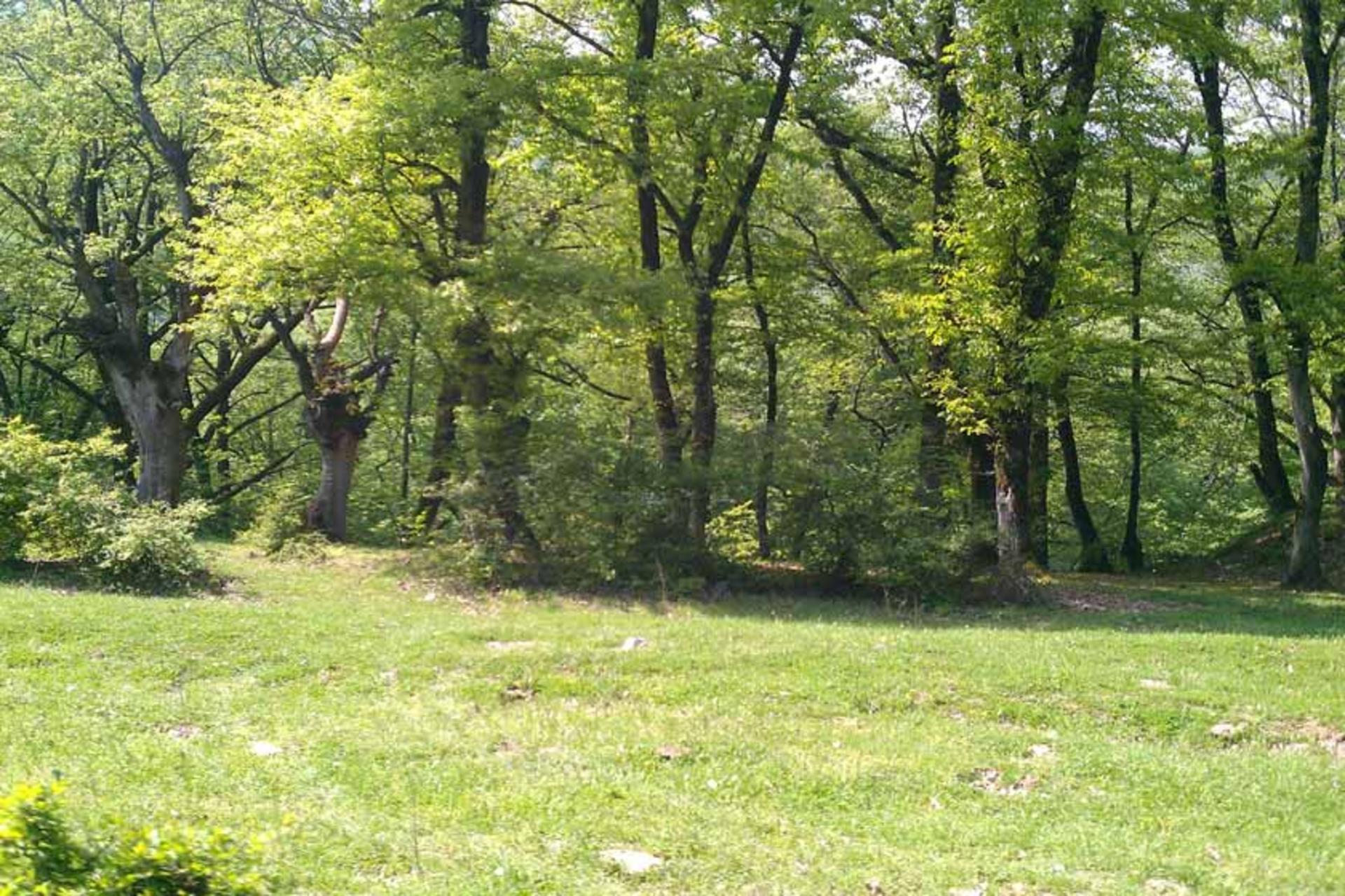 روستای میاندره